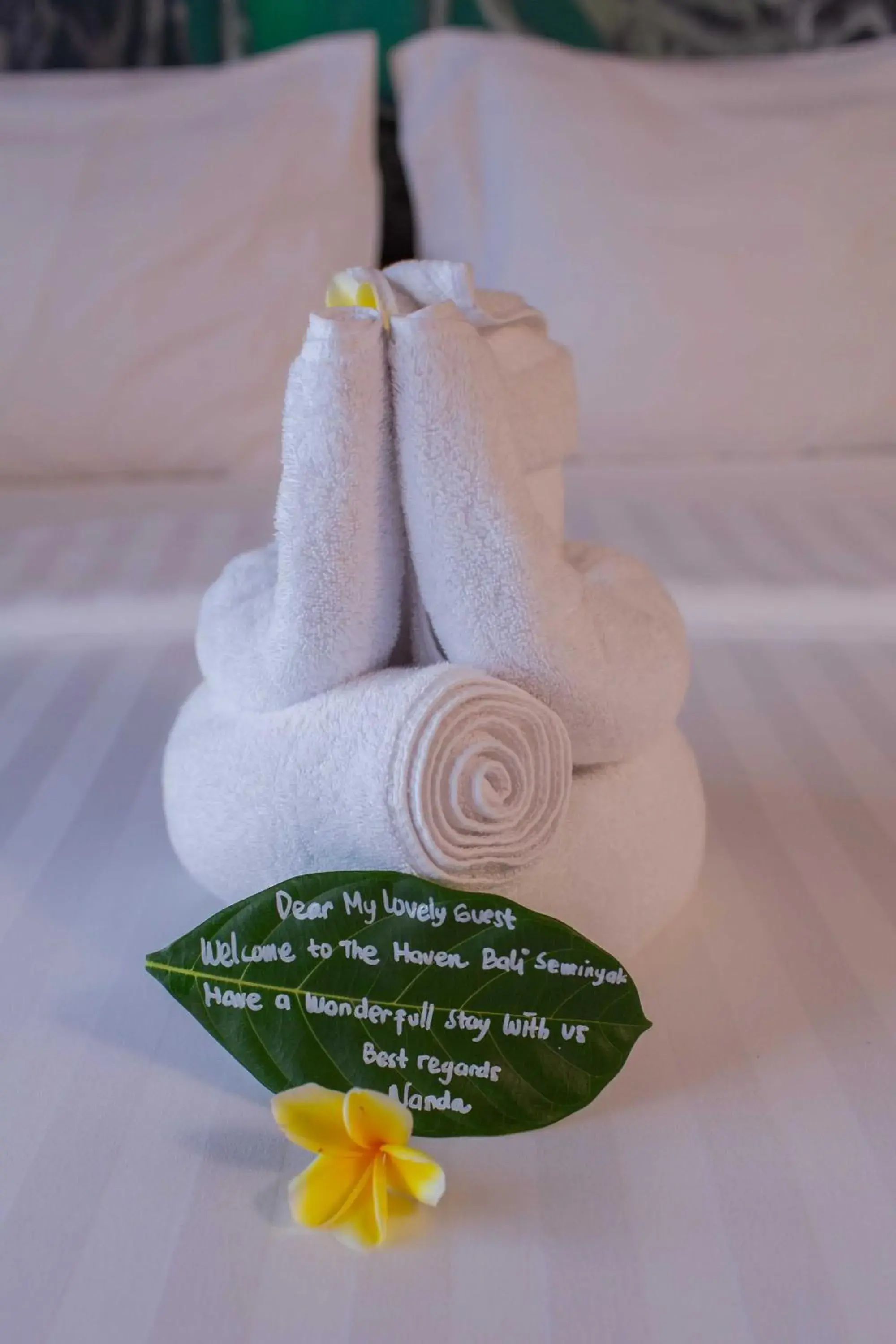 Activities, Bed in THE HAVEN Bali Seminyak Activities, Bed in THE HAVEN Bali Seminyak