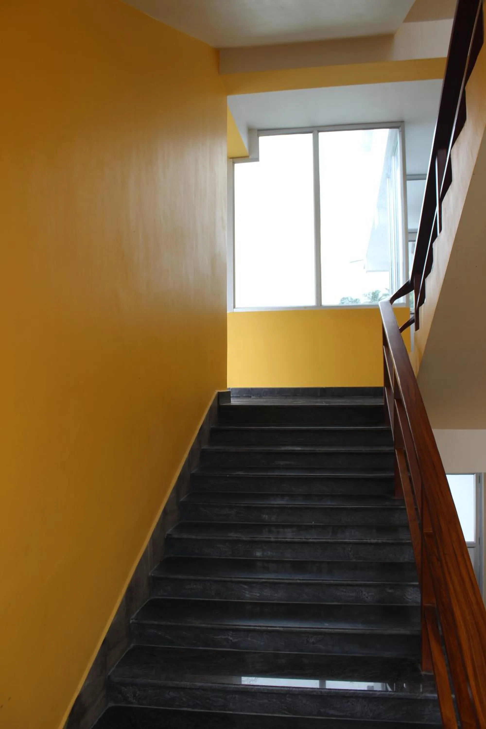 Property building in The White Coral