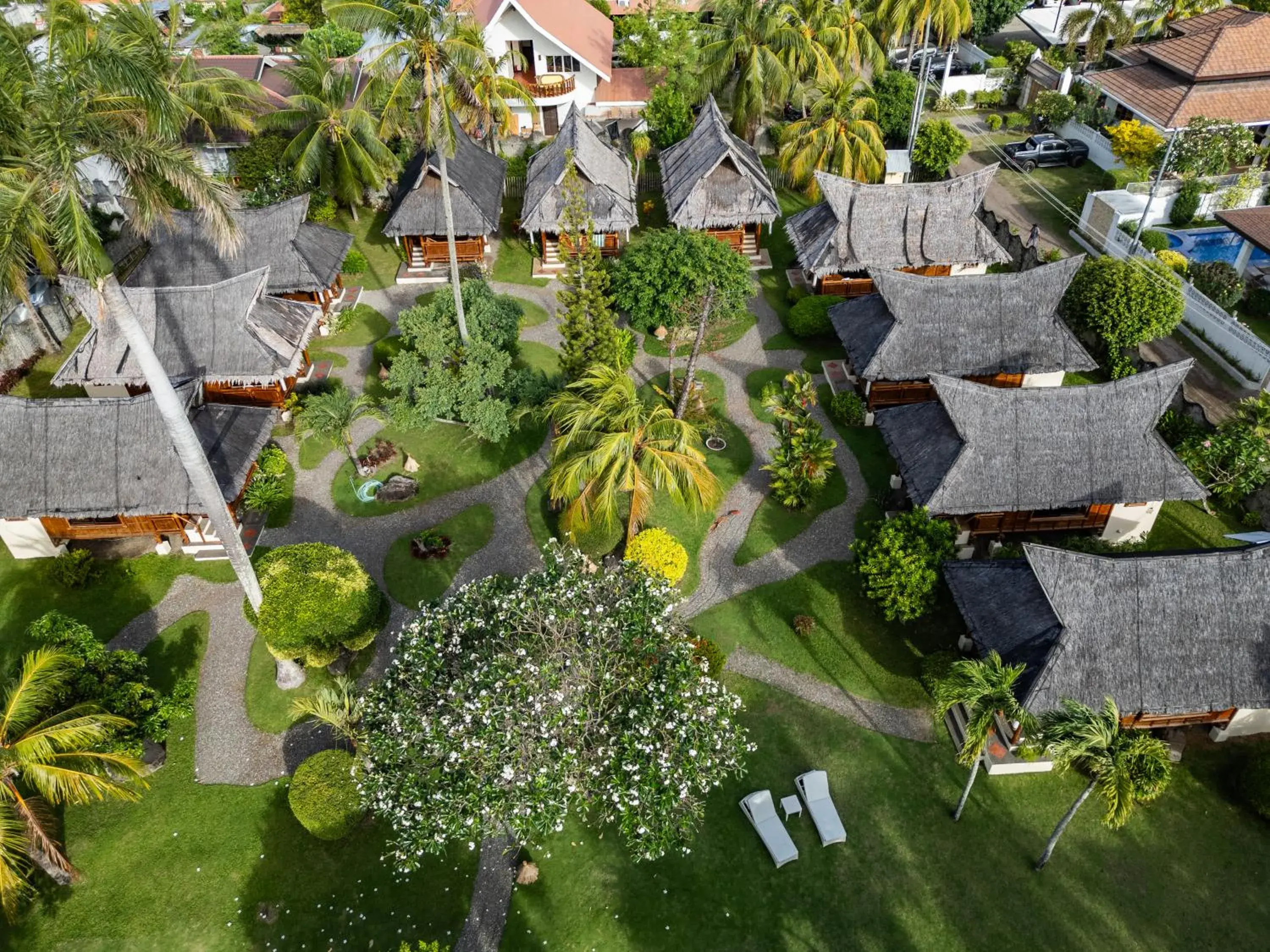 Property building in Pura Vida Beach & Dive Resort Property building in Pura Vida Beach & Dive Resort