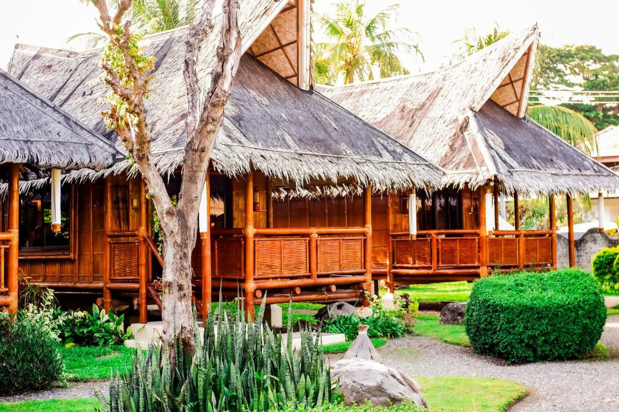 Property building in Pura Vida Beach & Dive Resort Property building in Pura Vida Beach & Dive Resort