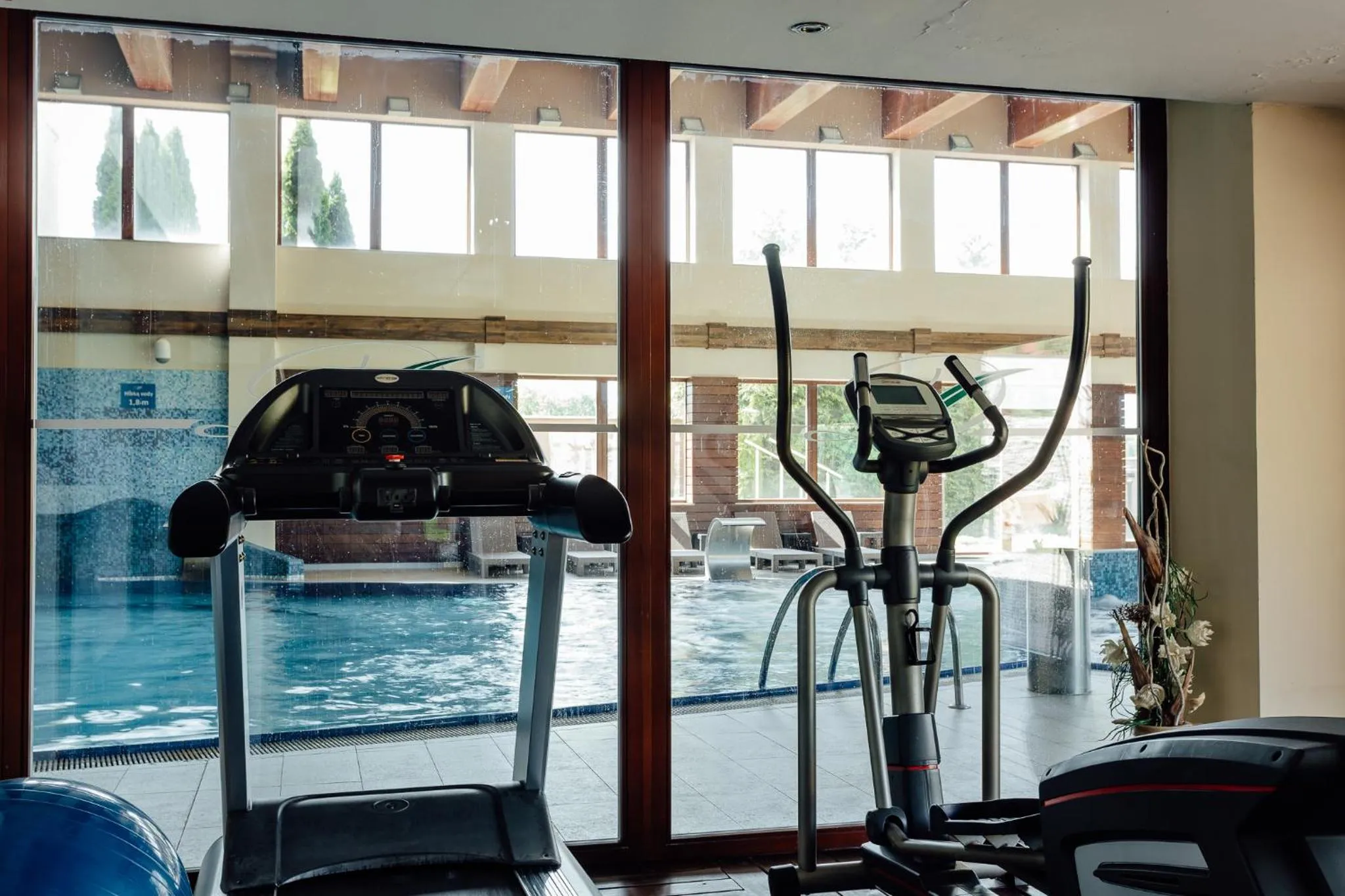 Fitness centre/facilities in Wellness Hotel Diplomat