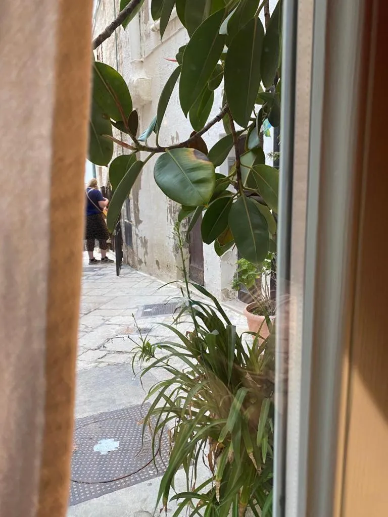 View (from property/room) in Trame - La Naca sul Porto