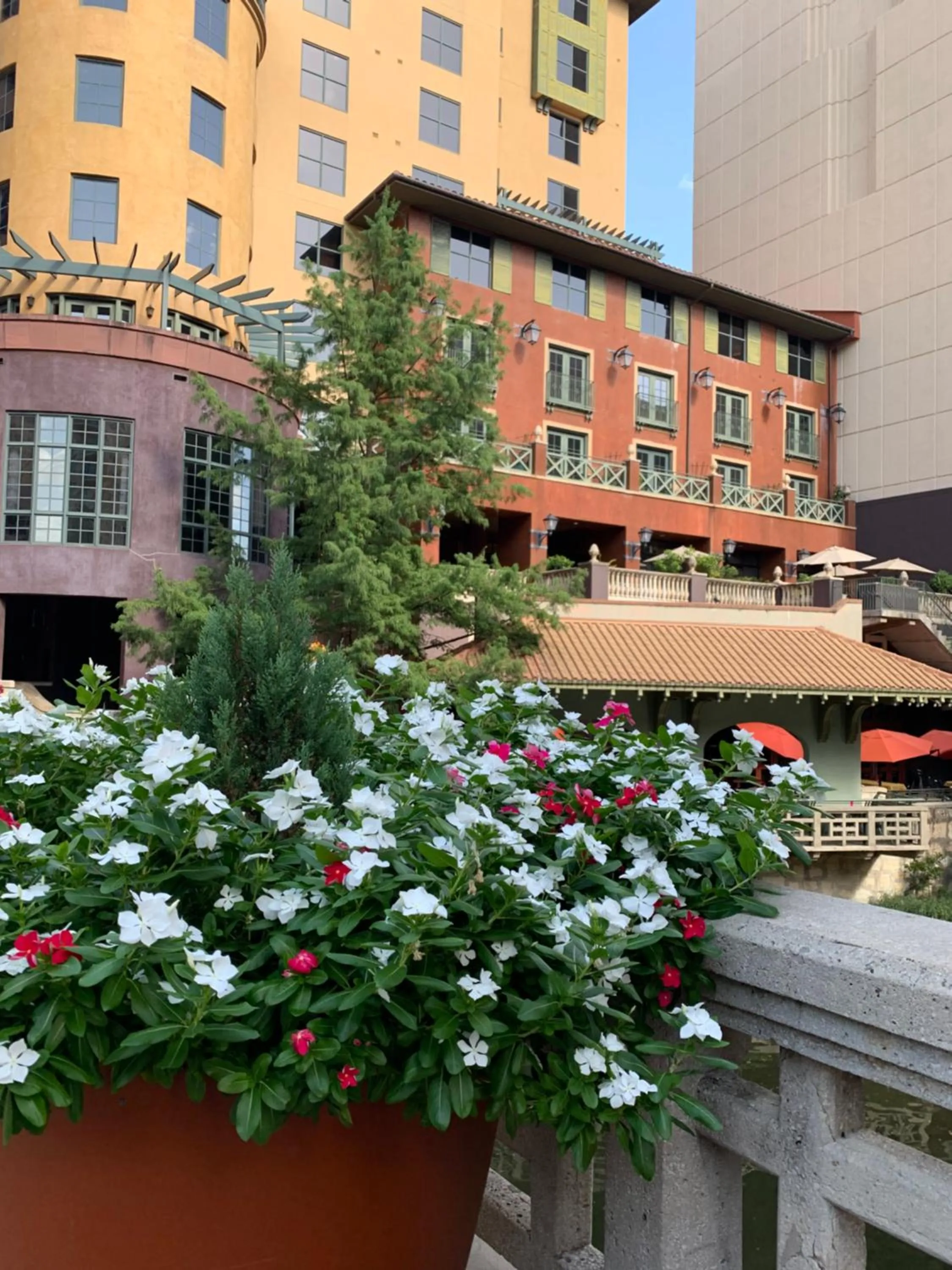 Property building in Hotel Valencia Riverwalk