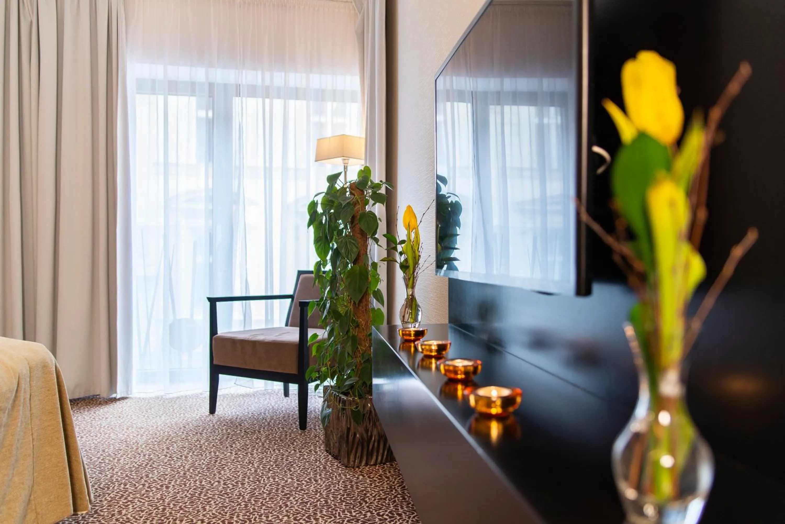 Photo of the whole room in Hotel Avance