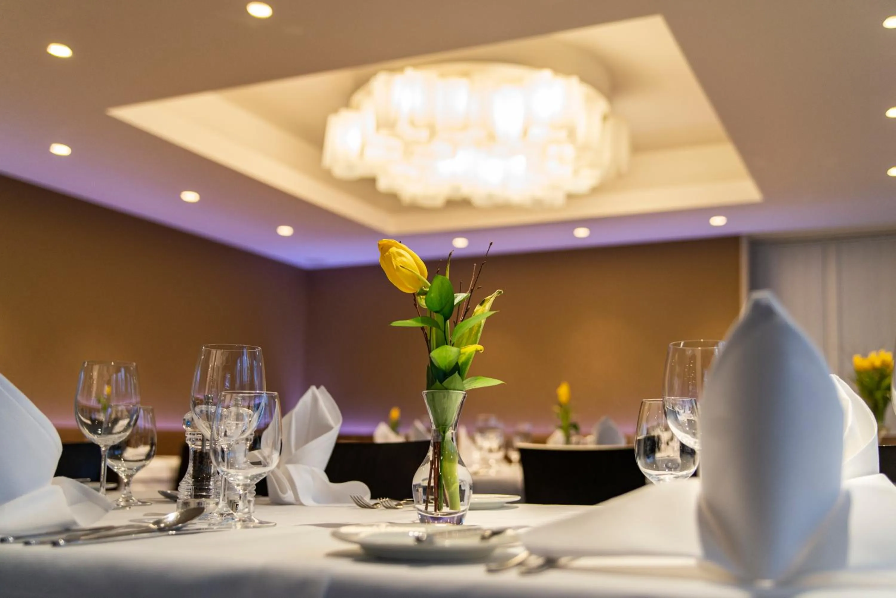 Restaurant/places to eat in Hotel Avance