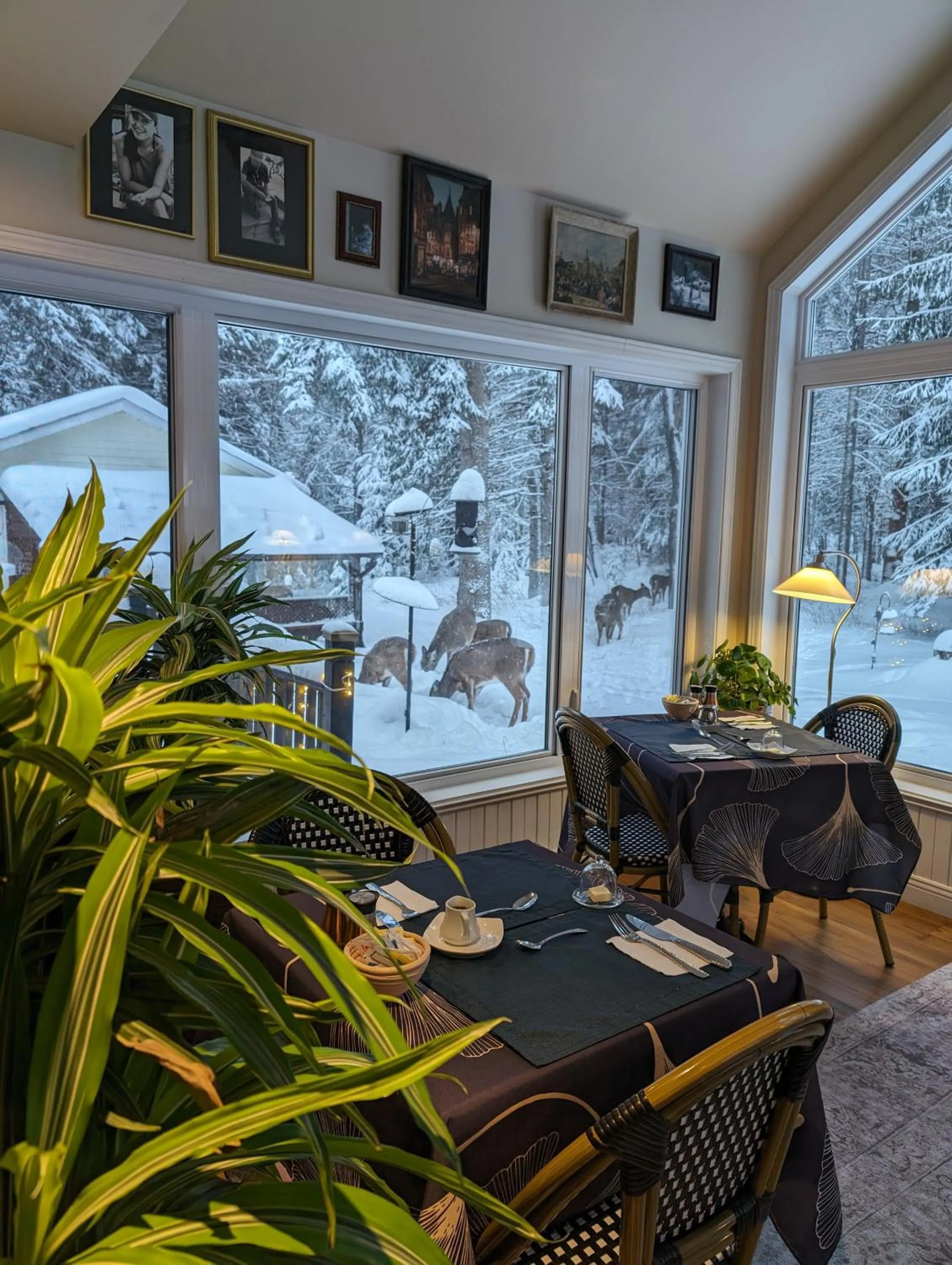 Winter in La Tremblante