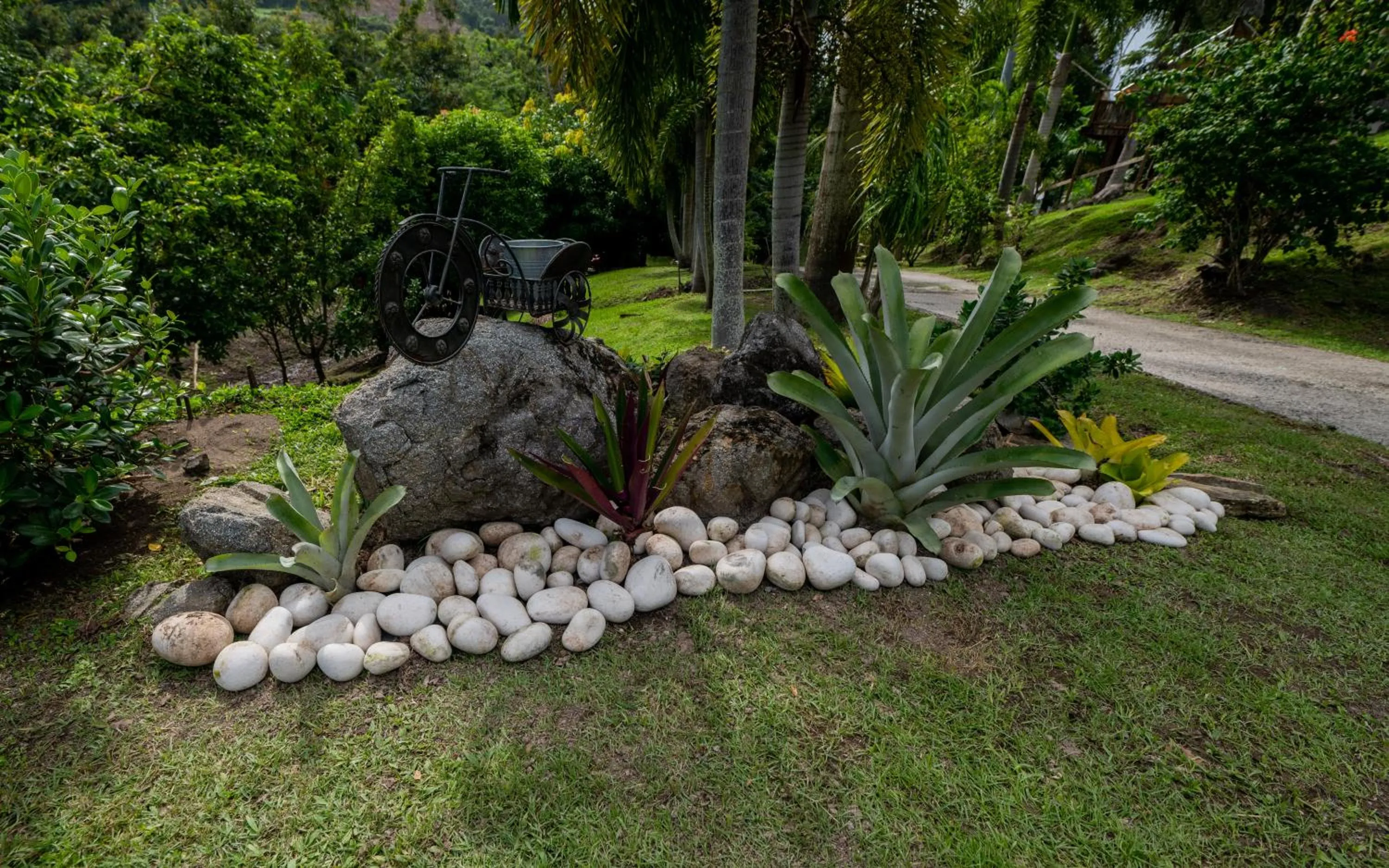 Garden in Hacienda Tres Casitas