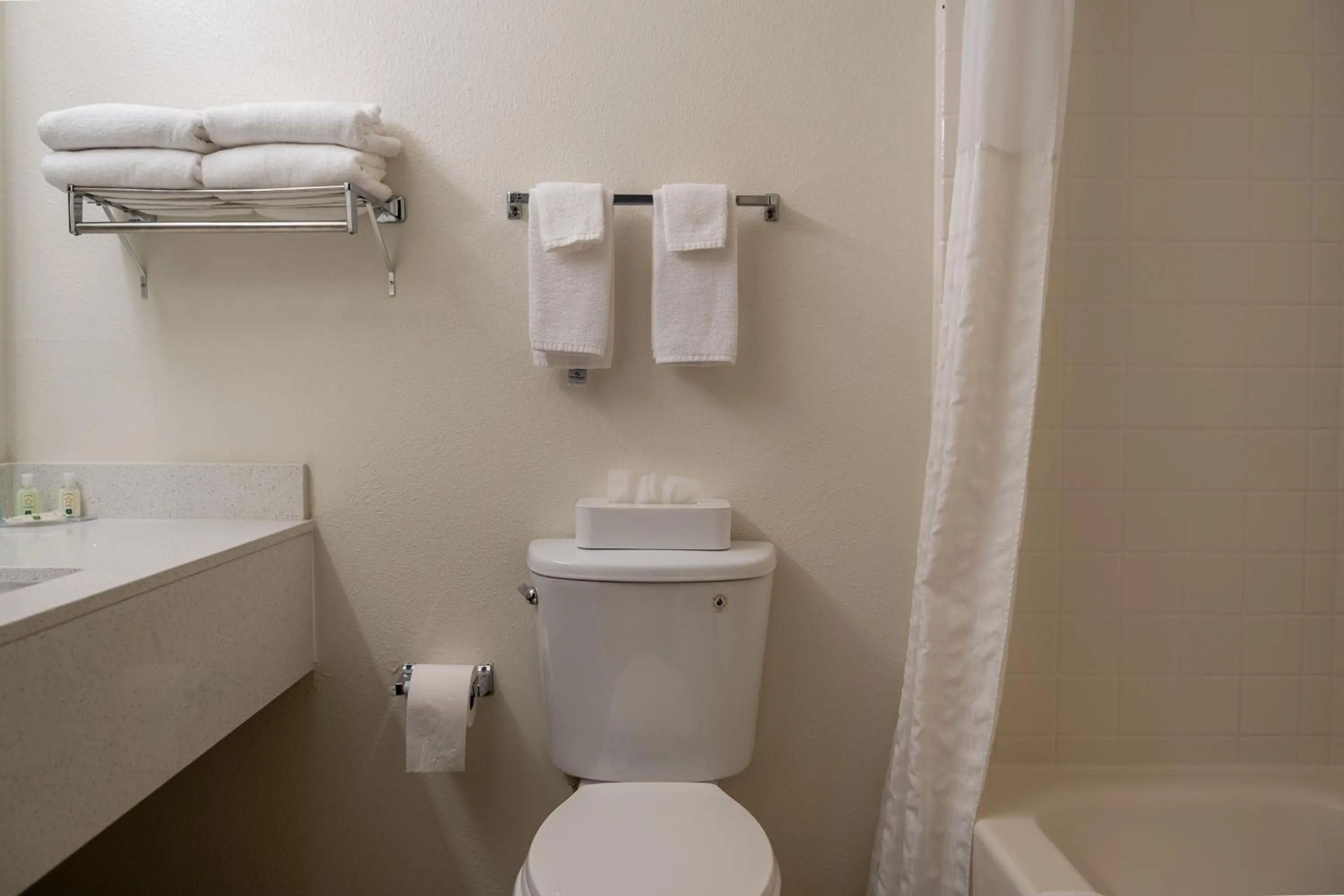 Toilet in Quality Inn & Suites Fresno Northwest