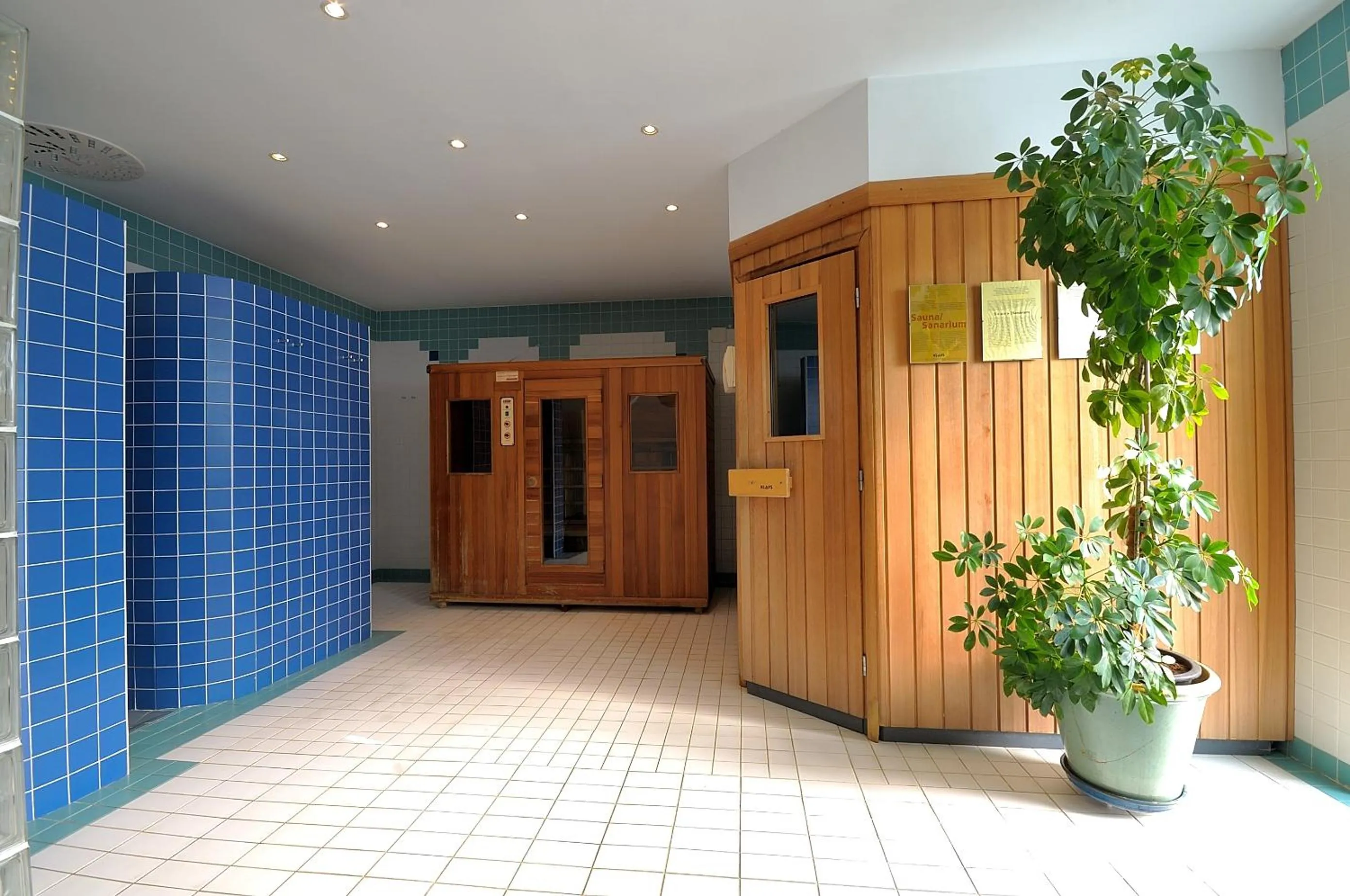 Spa and wellness centre/facilities in Penzion Tematin