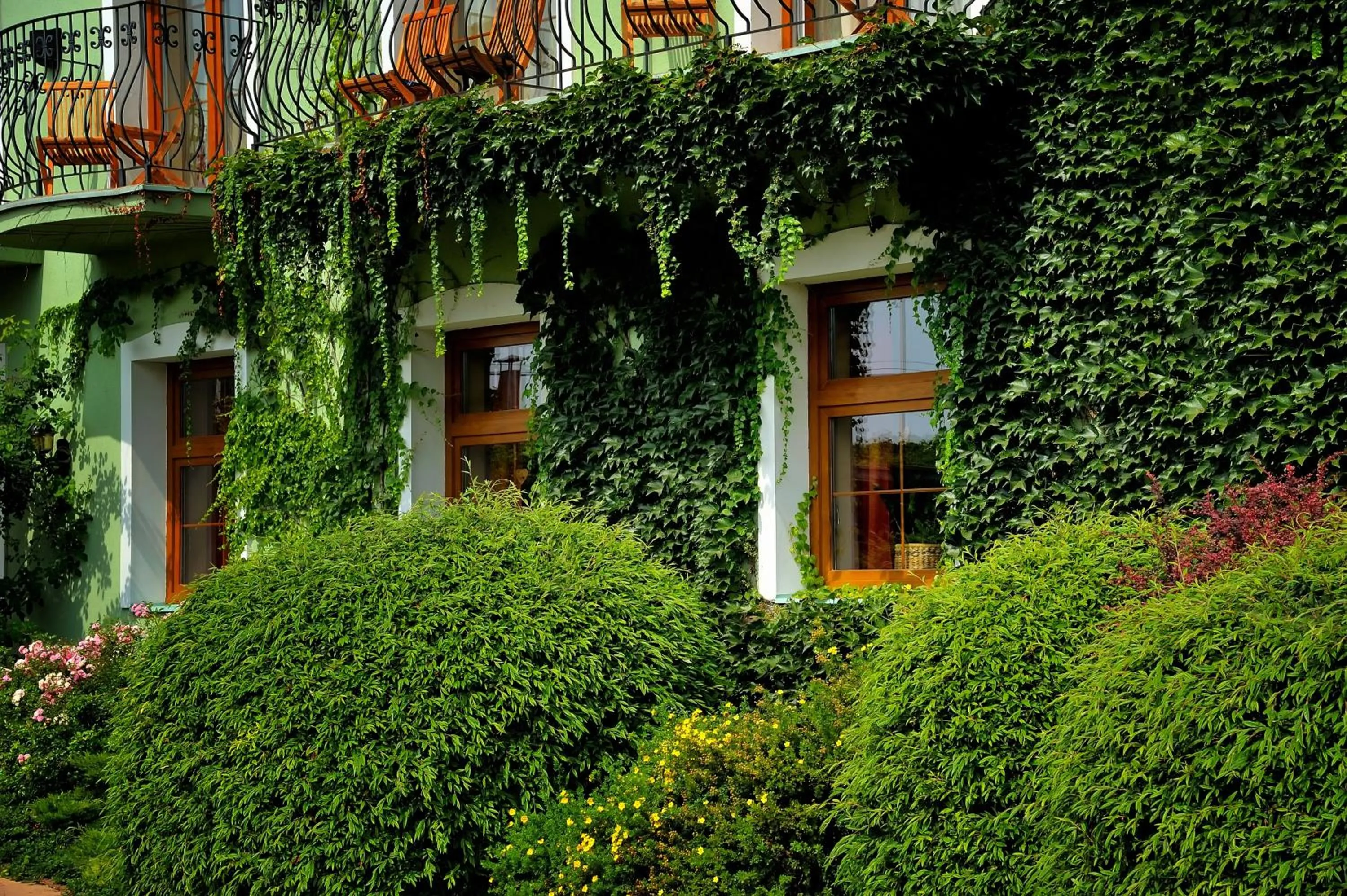 Facade/entrance in Penzion Tematin