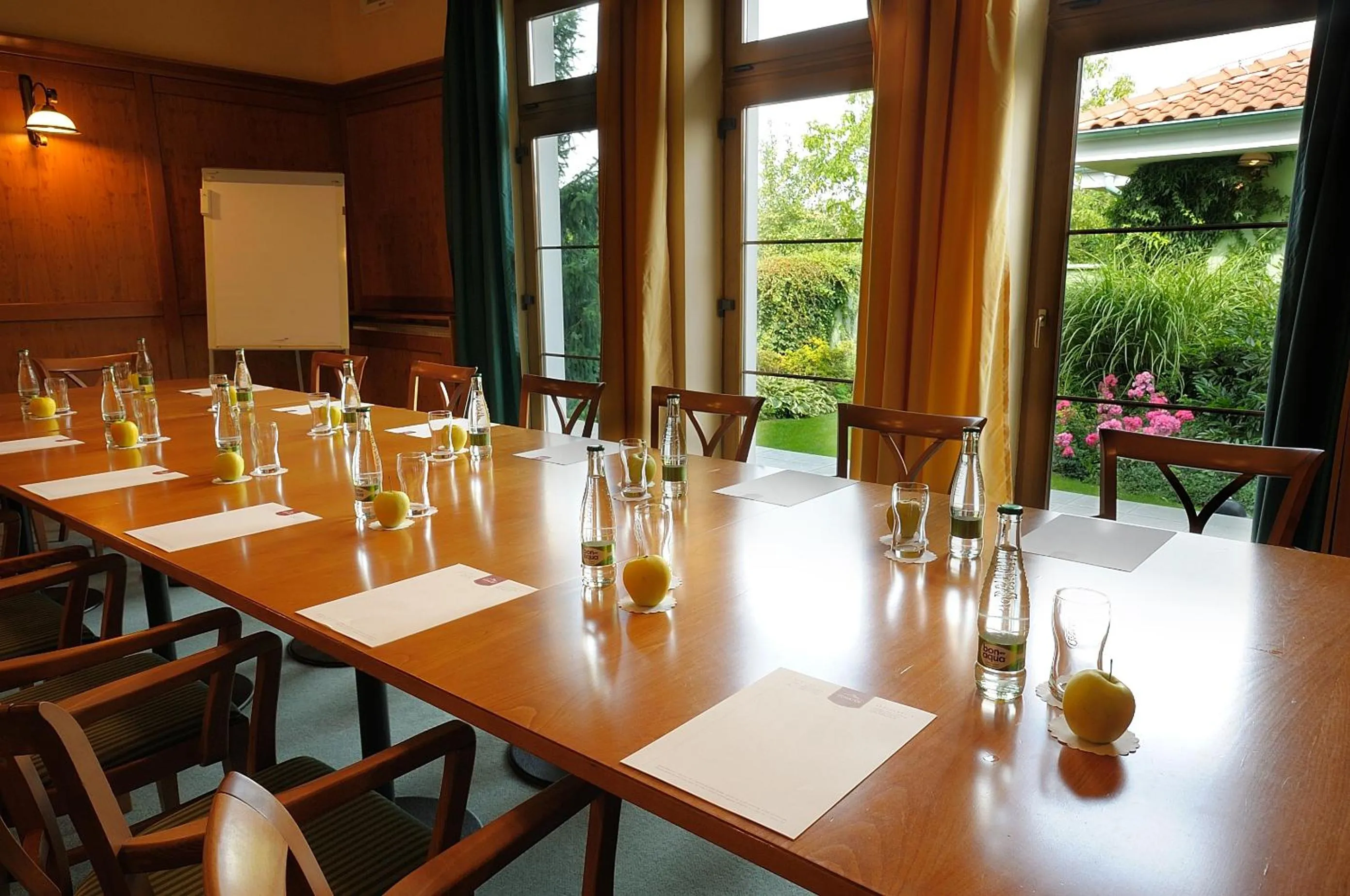 Business facilities in Penzion Tematin