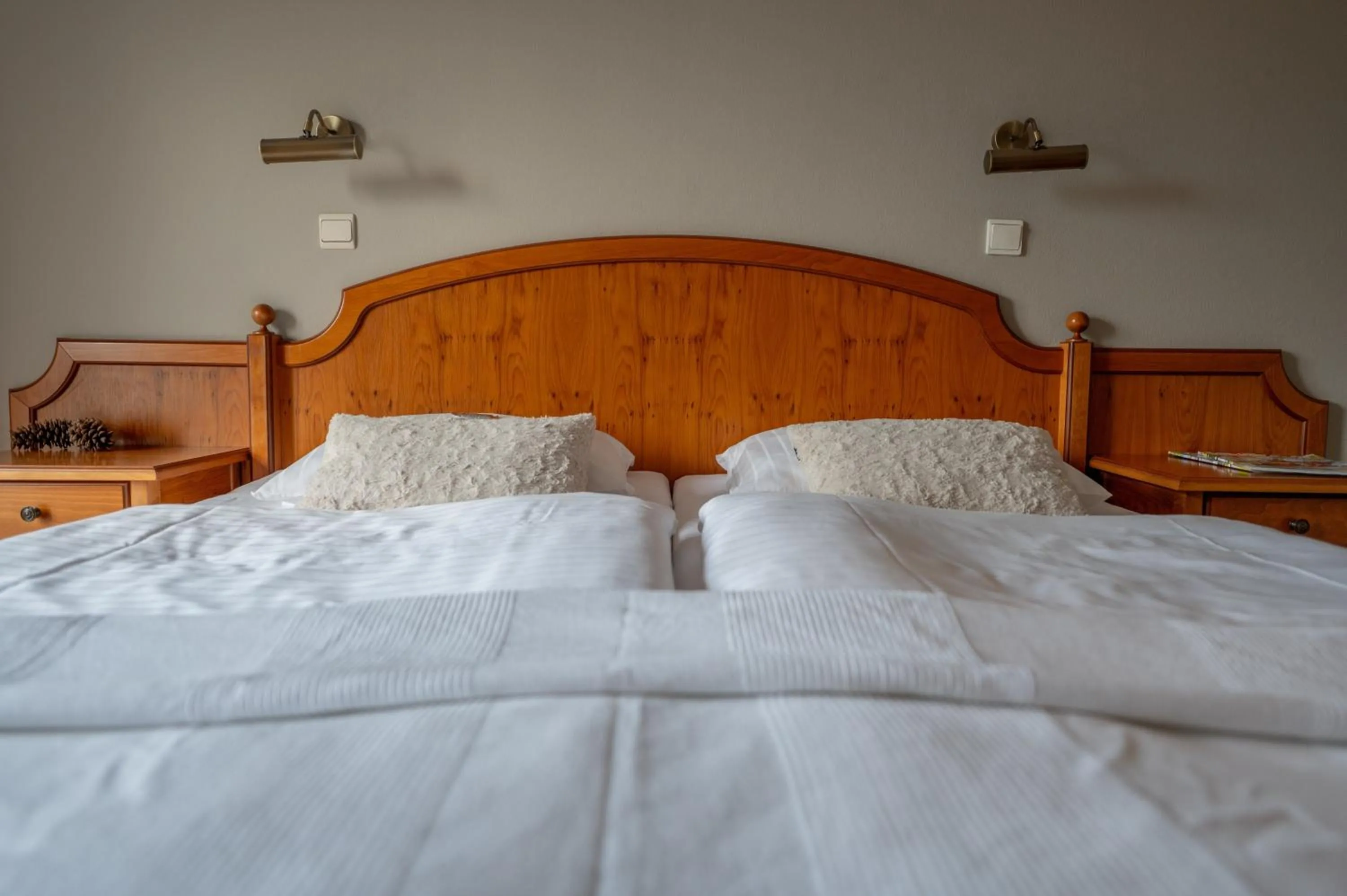 Bed in Penzion Tematin