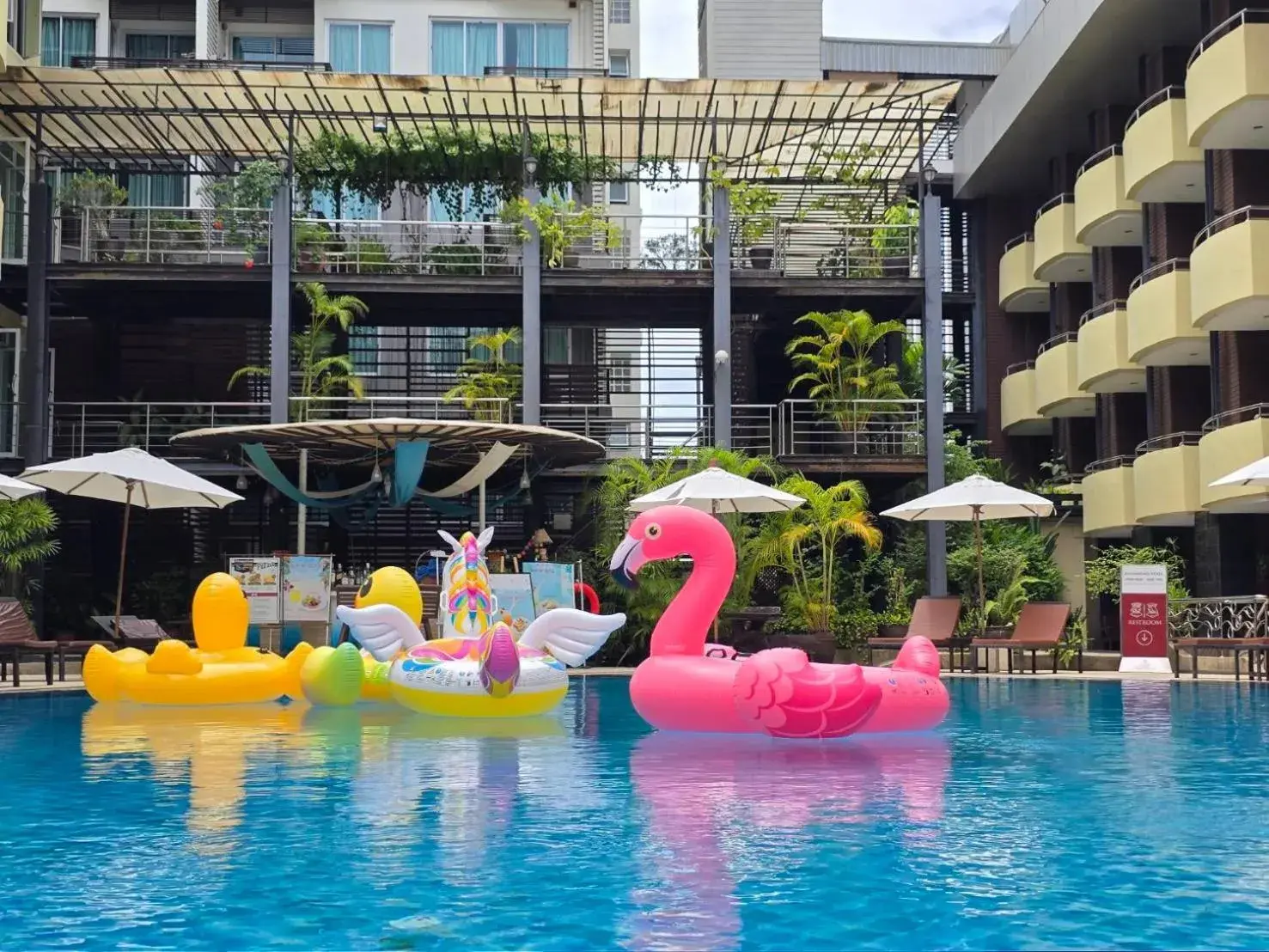 Swimming pool in Baron Beach Hotel Swimming pool in Baron Beach Hotel