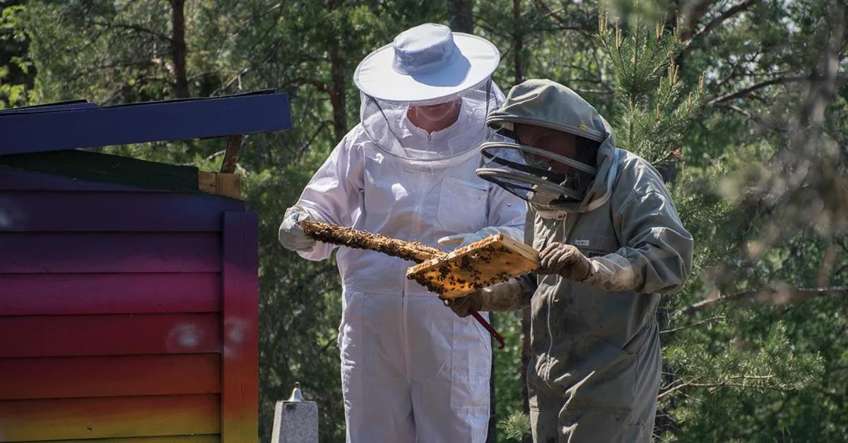 Sigtunahöjden Hotell & Konferens