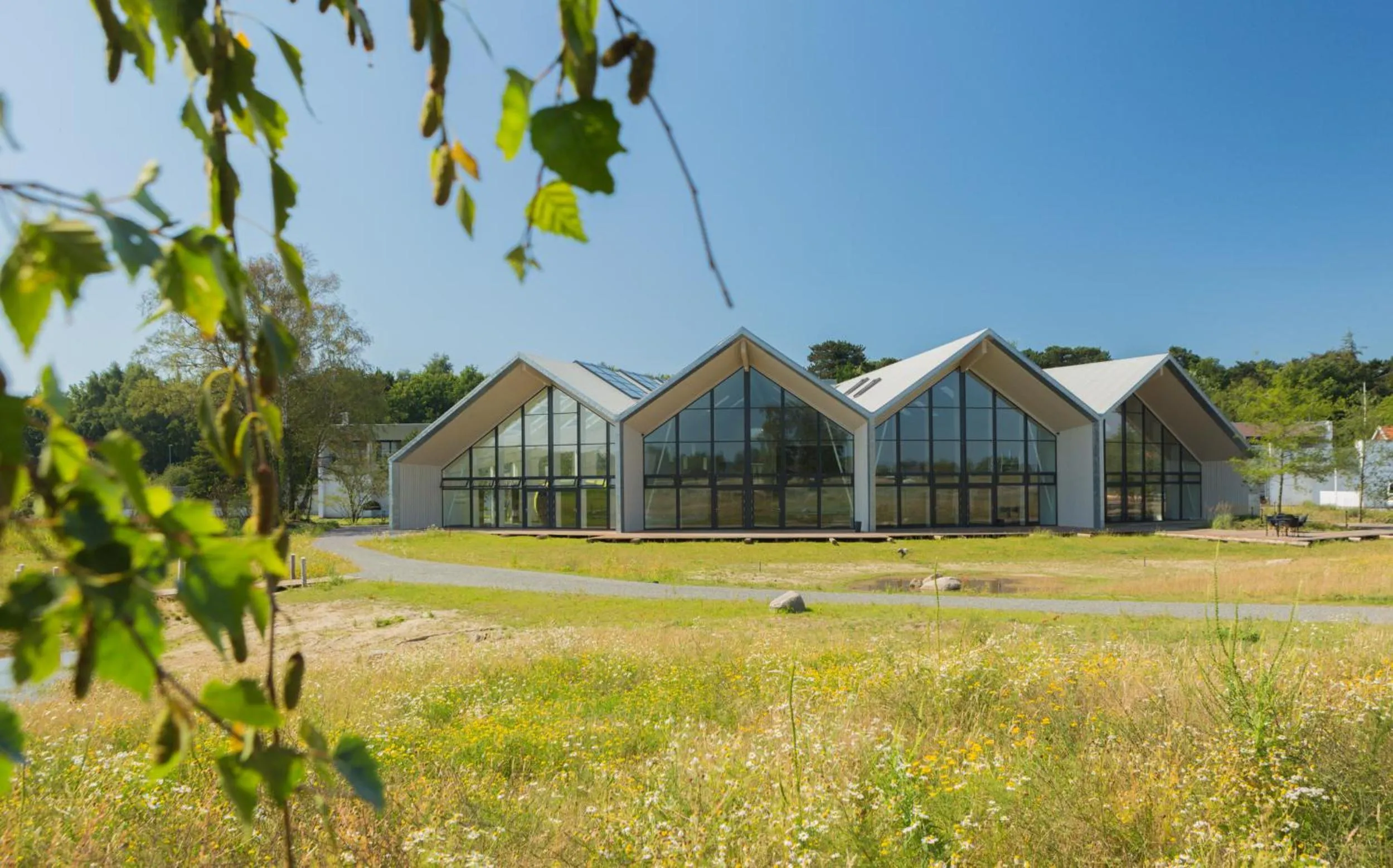 Natural landscape in Hotel GSH