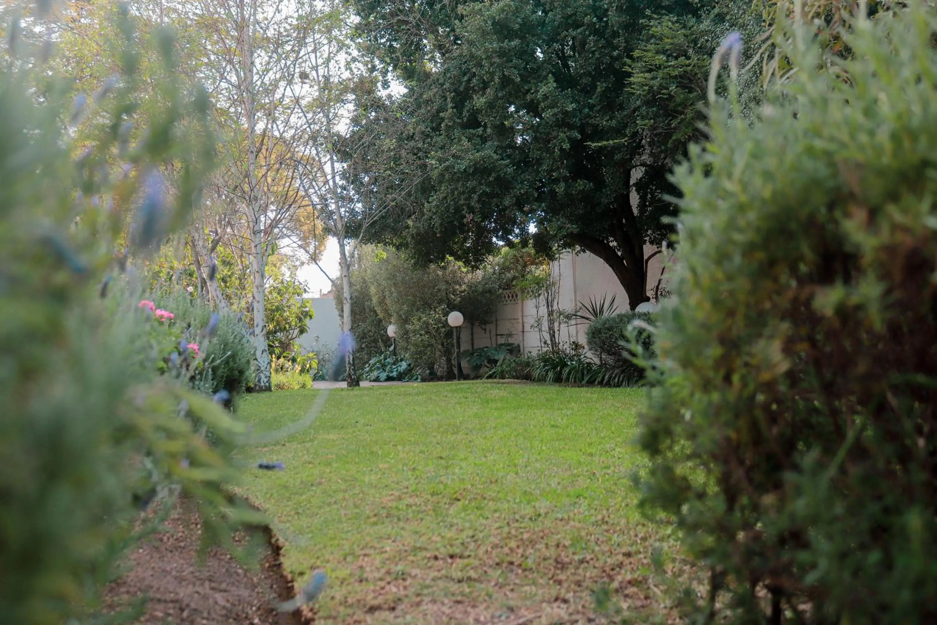 Garden view in 3 Liebeloft Guest House