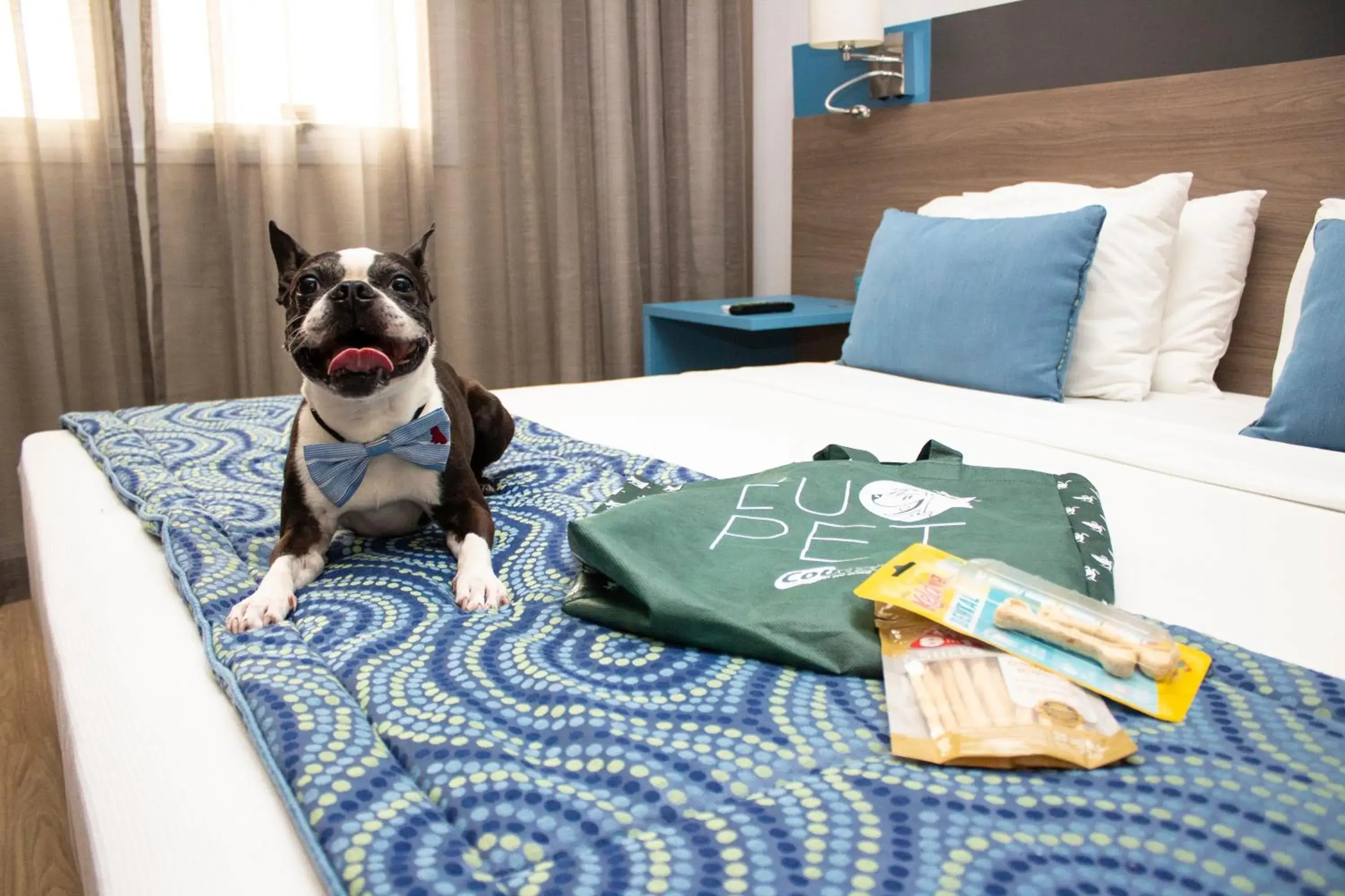 Pets, Bed in Hilton Garden Inn Santo Andre Pets, Bed in Hilton Garden Inn Santo Andre