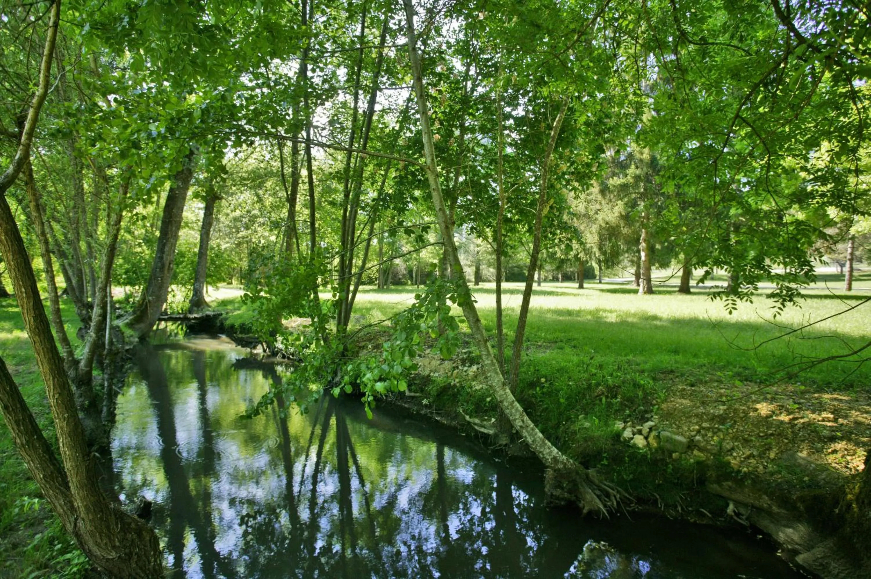 Natural landscape in Le Moulin de Mitou