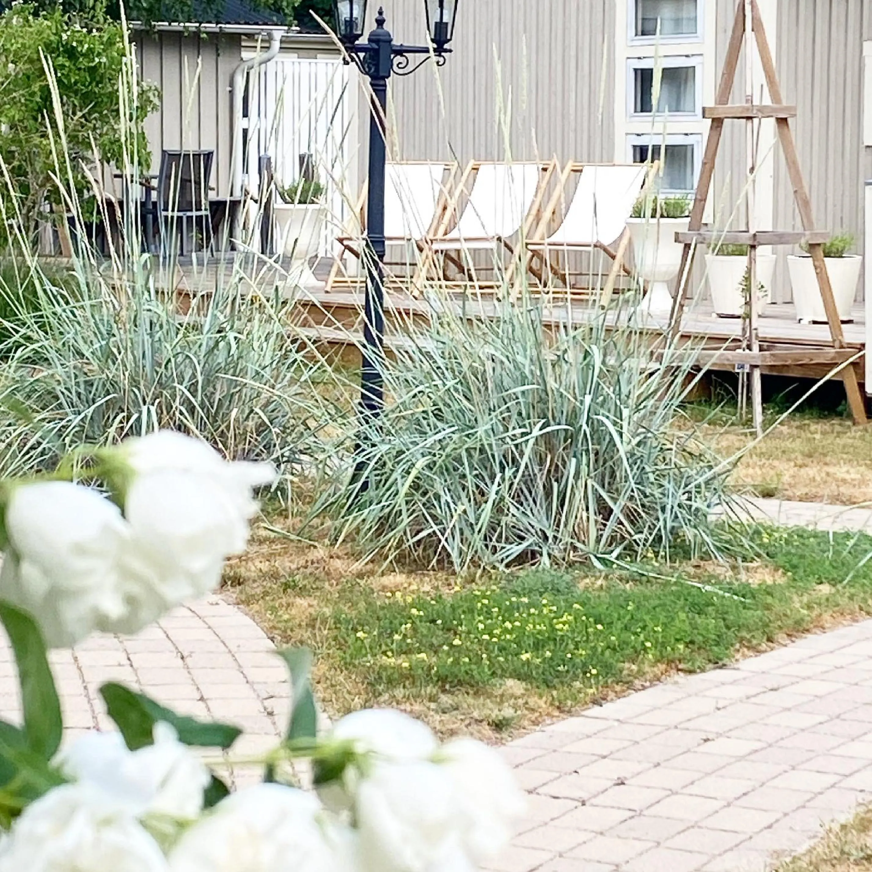 Garden in Eco by StrandNära