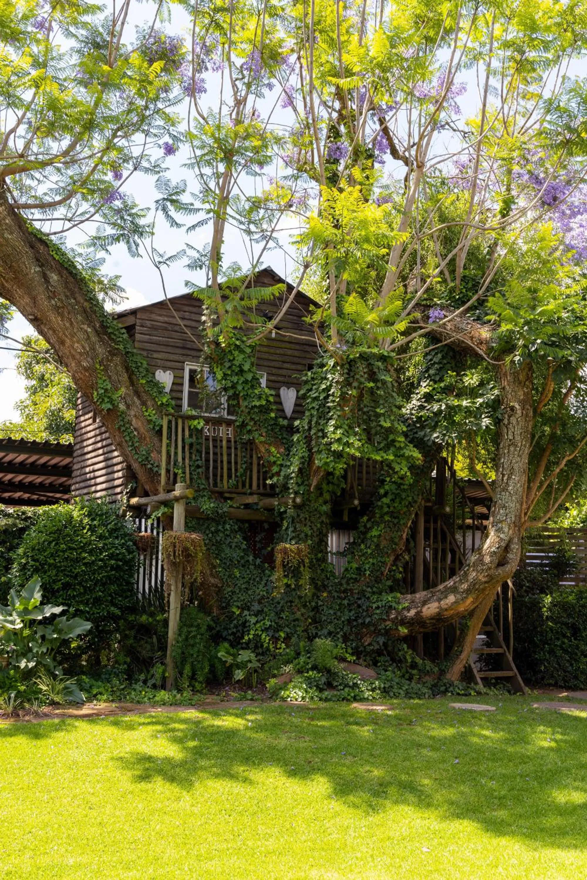 Property building in LA Guesthouse