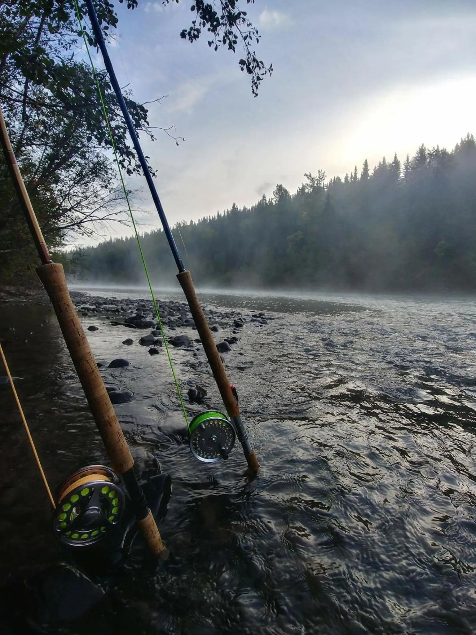 The Lodge on Harrison Lake