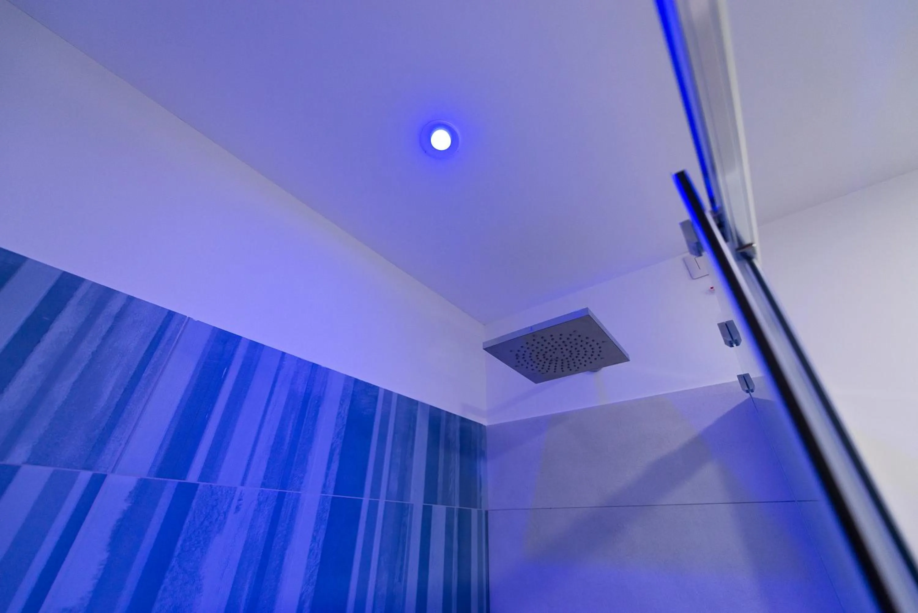 Shower in Park Hotel Valle Clavia