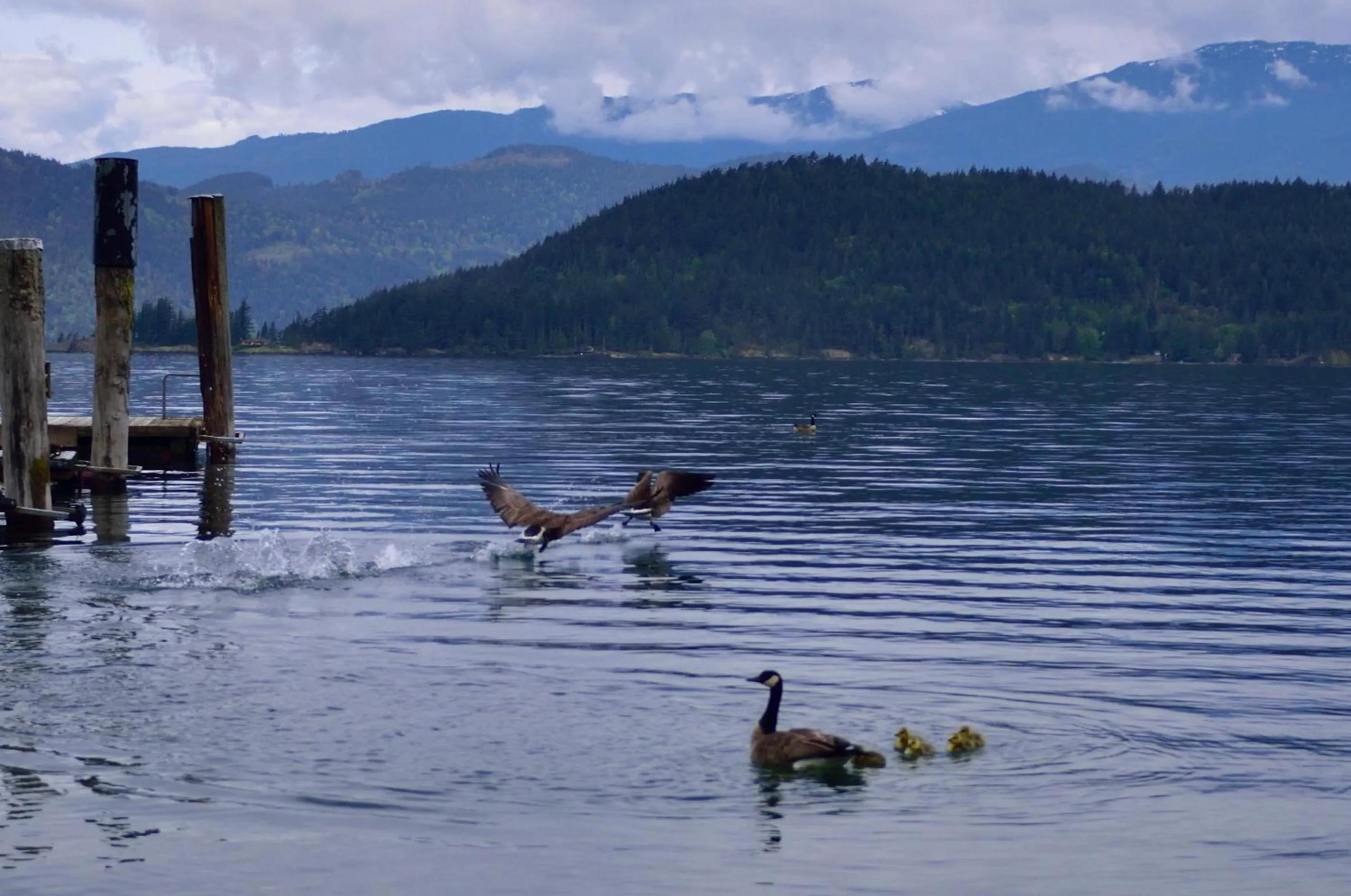 Spring in The Rockwell-Harrison Guest Lodge