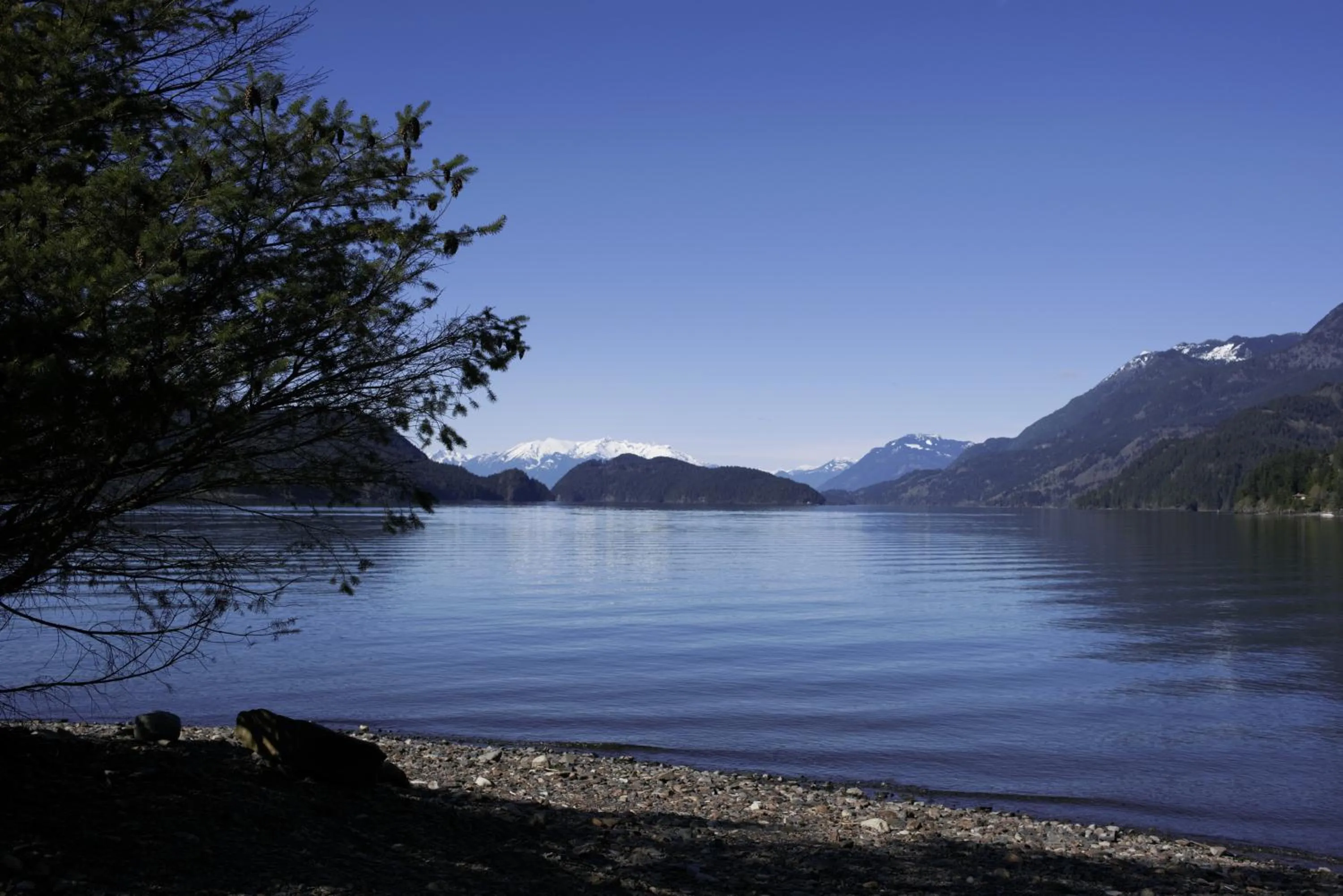 Neighbourhood in The Rockwell-Harrison Guest Lodge