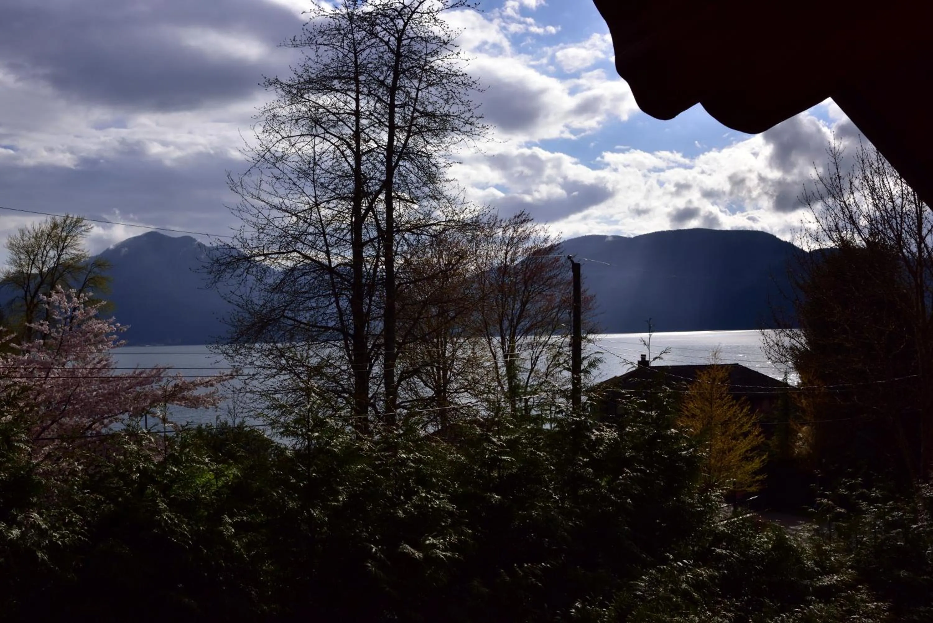 View (from property/room) in The Rockwell-Harrison Guest Lodge