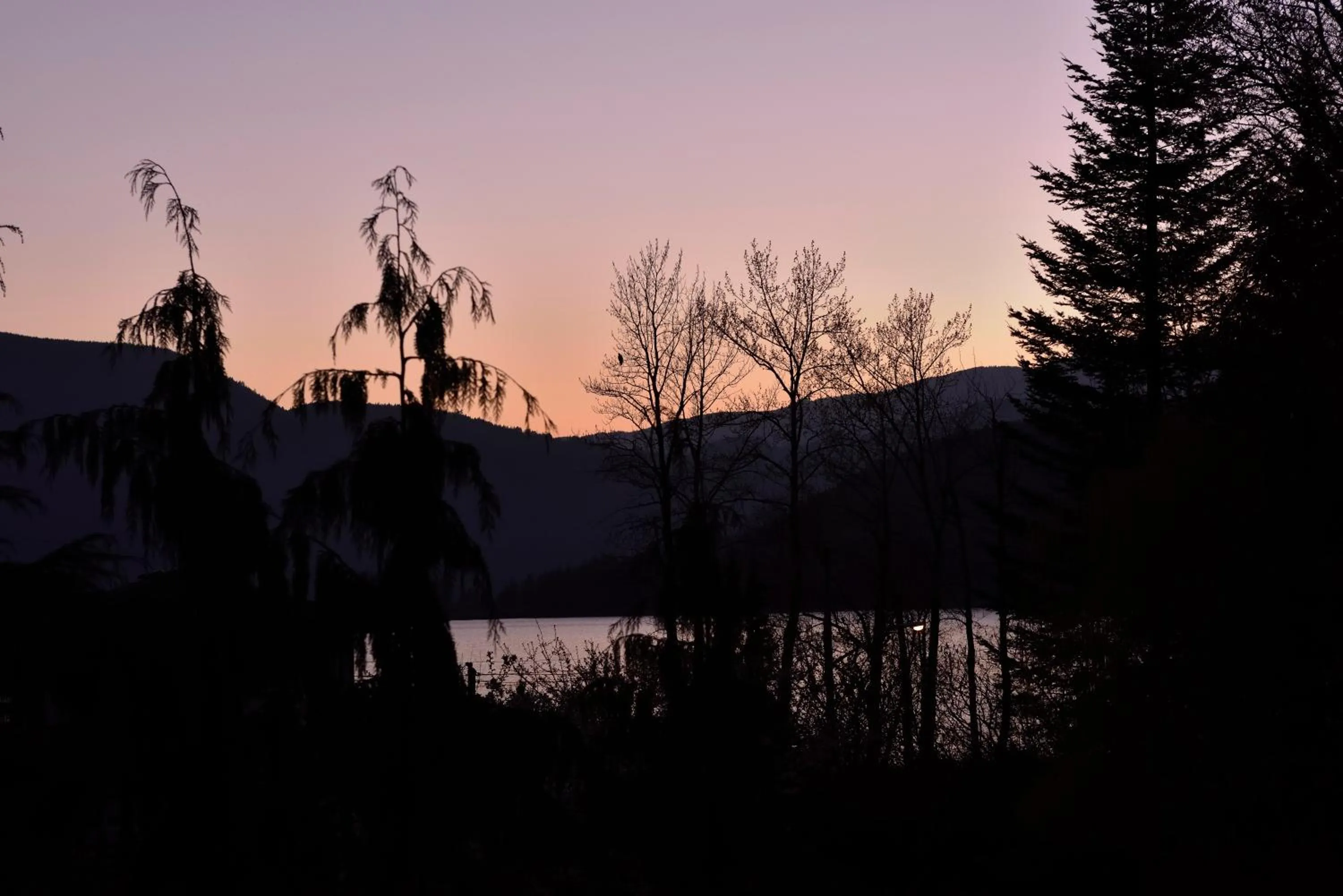 Lake view in The Rockwell-Harrison Guest Lodge