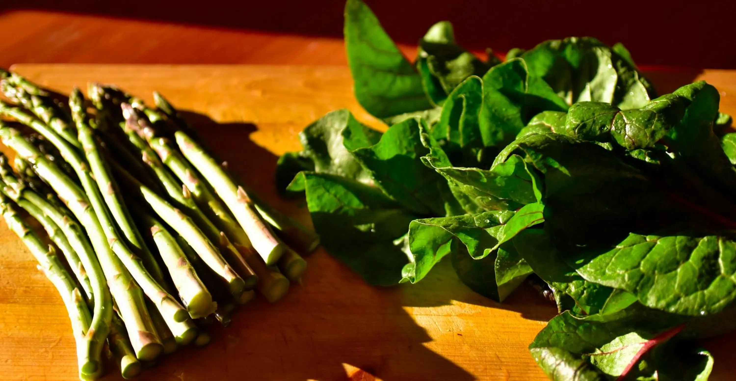 Spring in The Rockwell-Harrison Guest Lodge