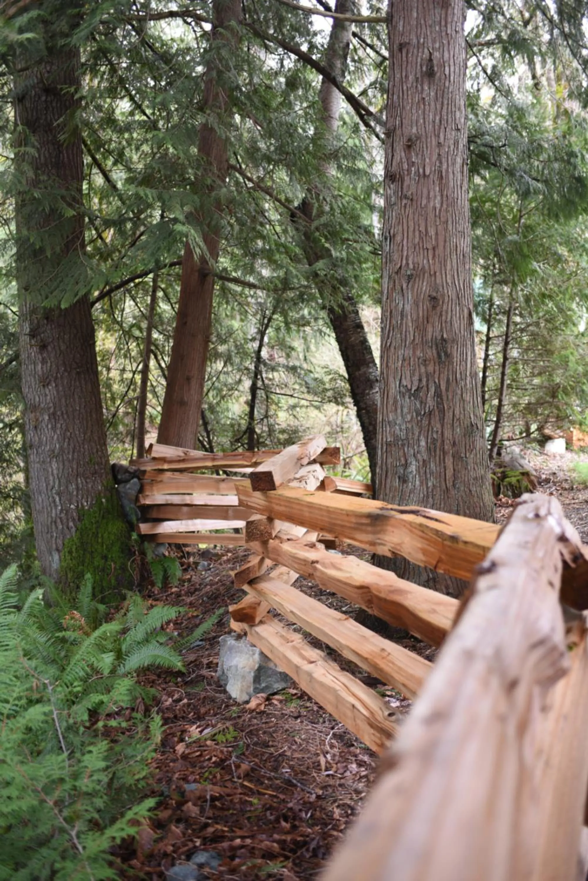 Garden in The Rockwell-Harrison Guest Lodge