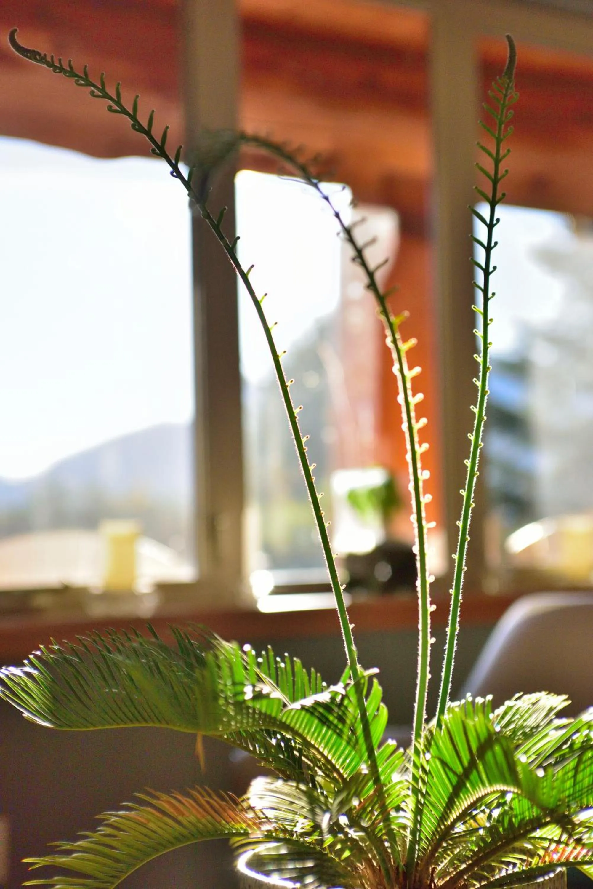 Decorative detail in The Rockwell-Harrison Guest Lodge