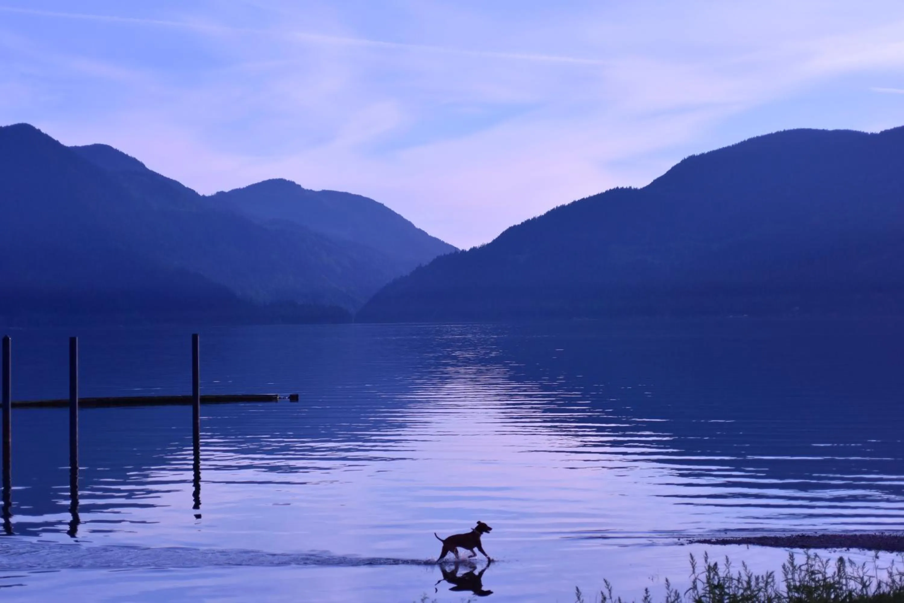 Beach in The Rockwell-Harrison Guest Lodge
