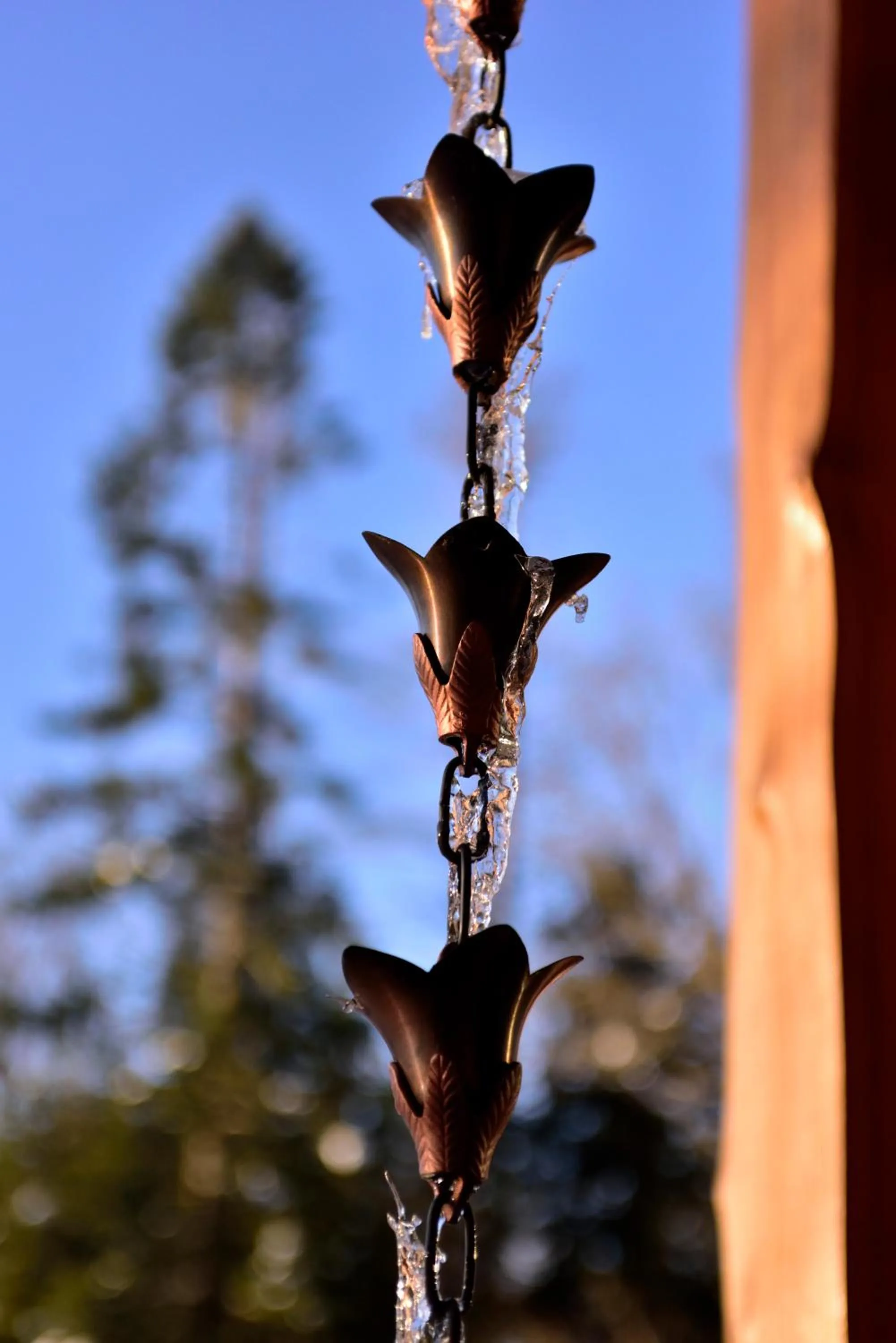 Winter in The Rockwell-Harrison Guest Lodge