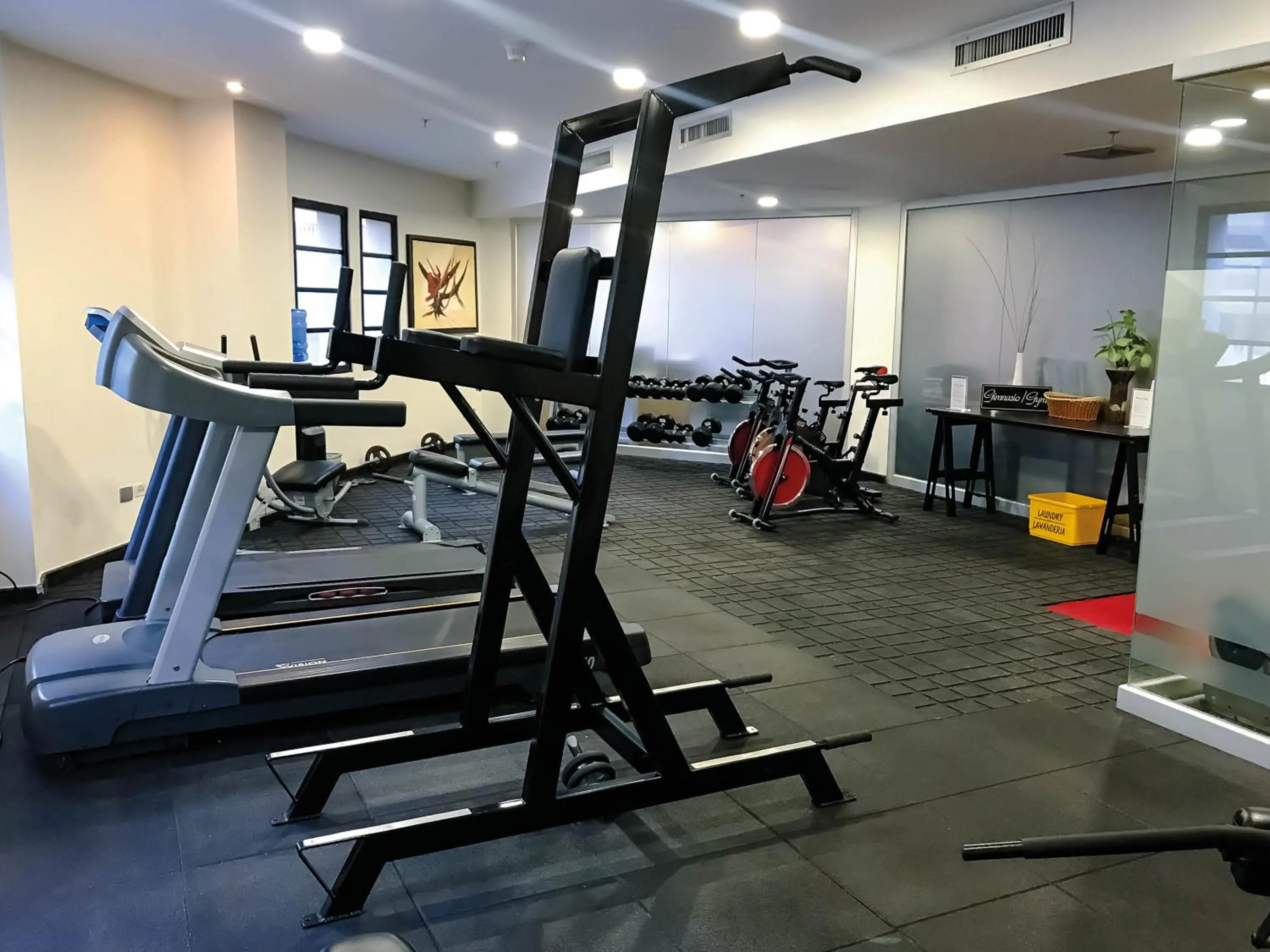 Fitness centre/facilities in Waldorf Hotel