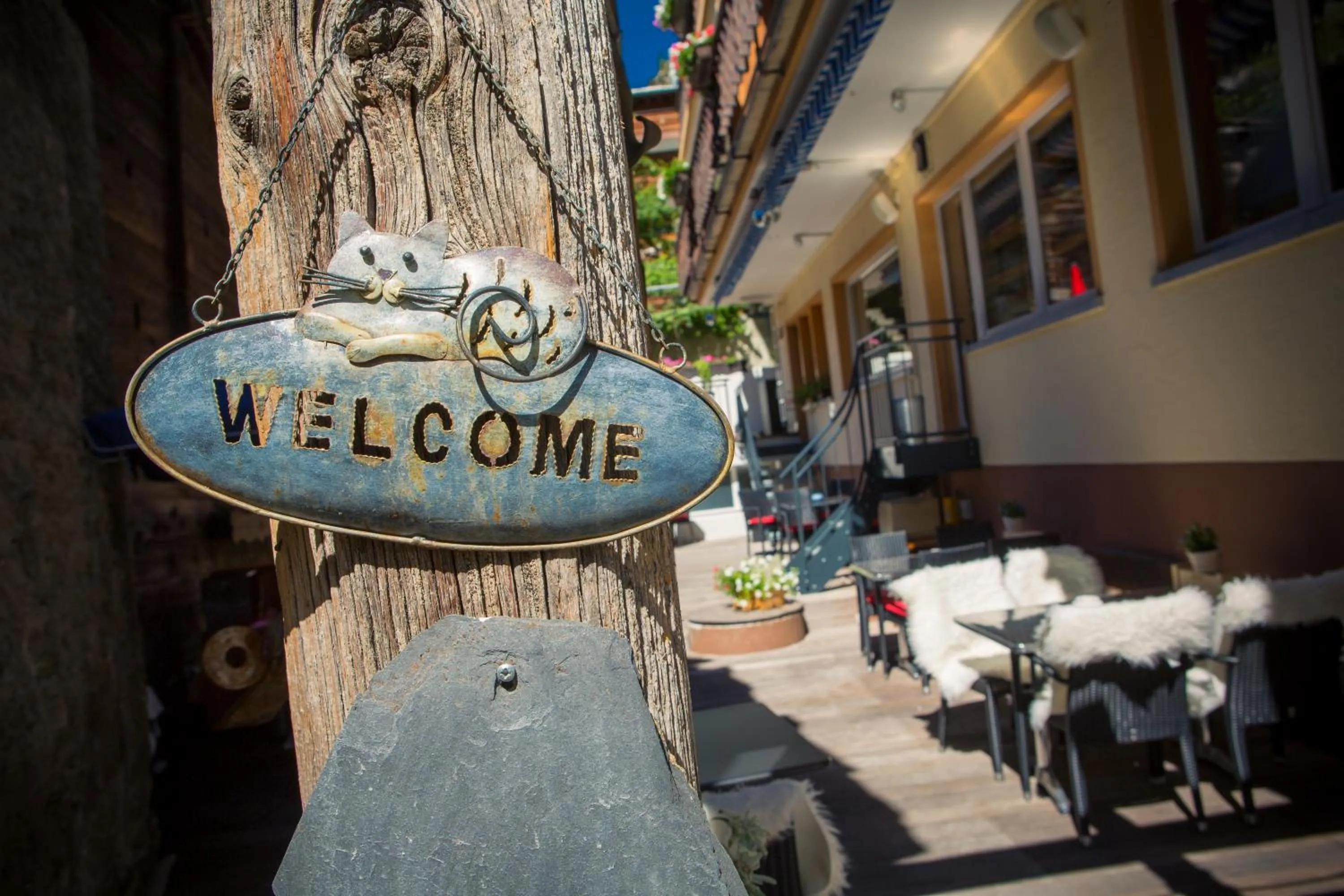 Balcony/Terrace in Hotel Excelsior