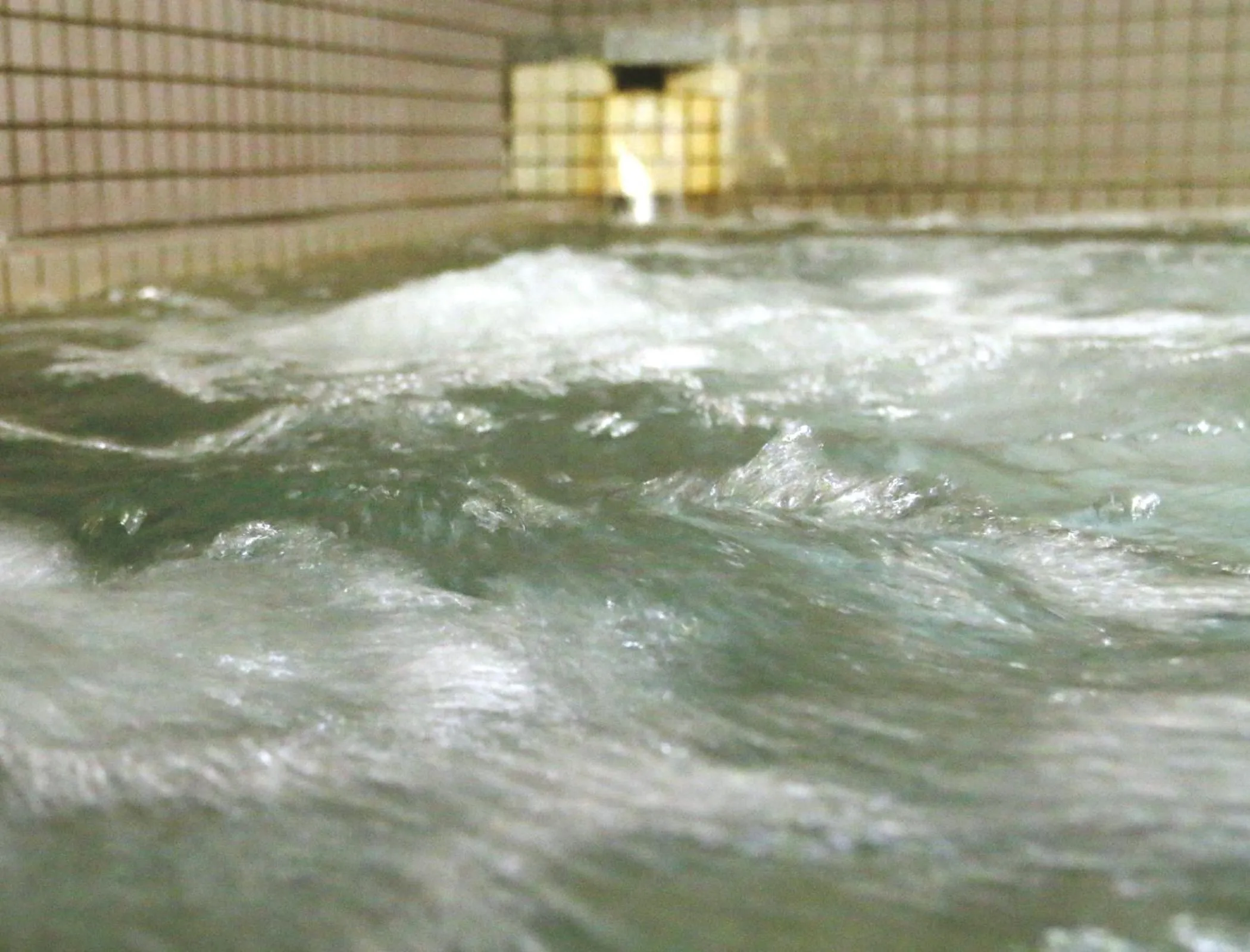 Public Bath in Oze Shinkousou