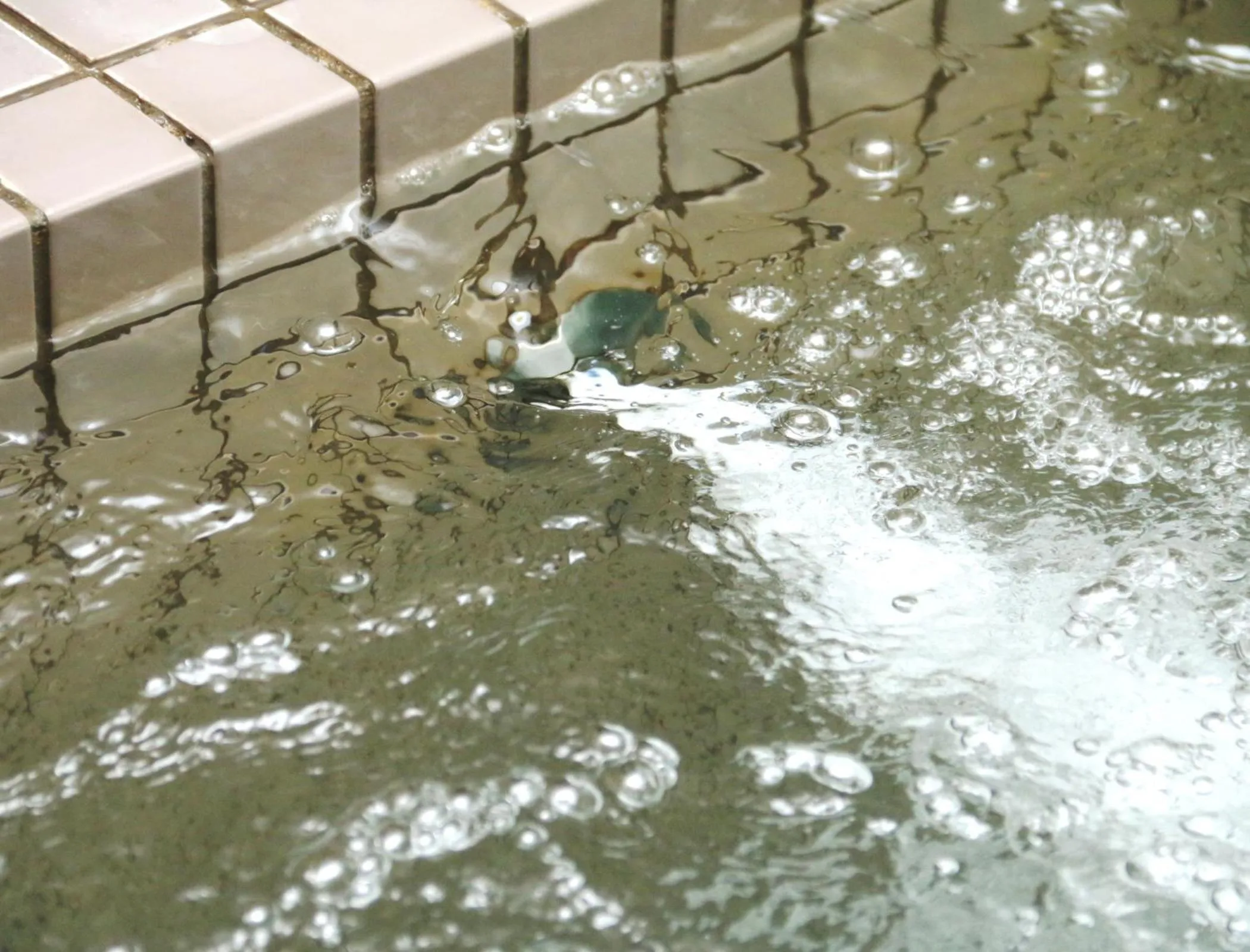 Public Bath in Oze Shinkousou
