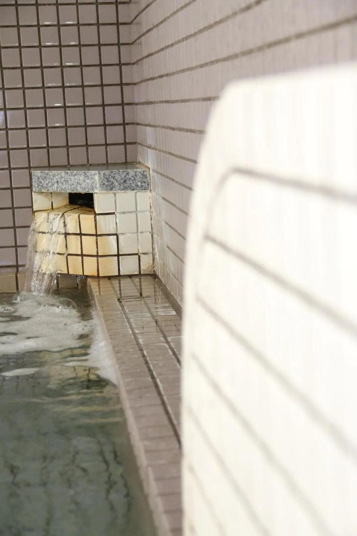 Public Bath in Oze Shinkousou