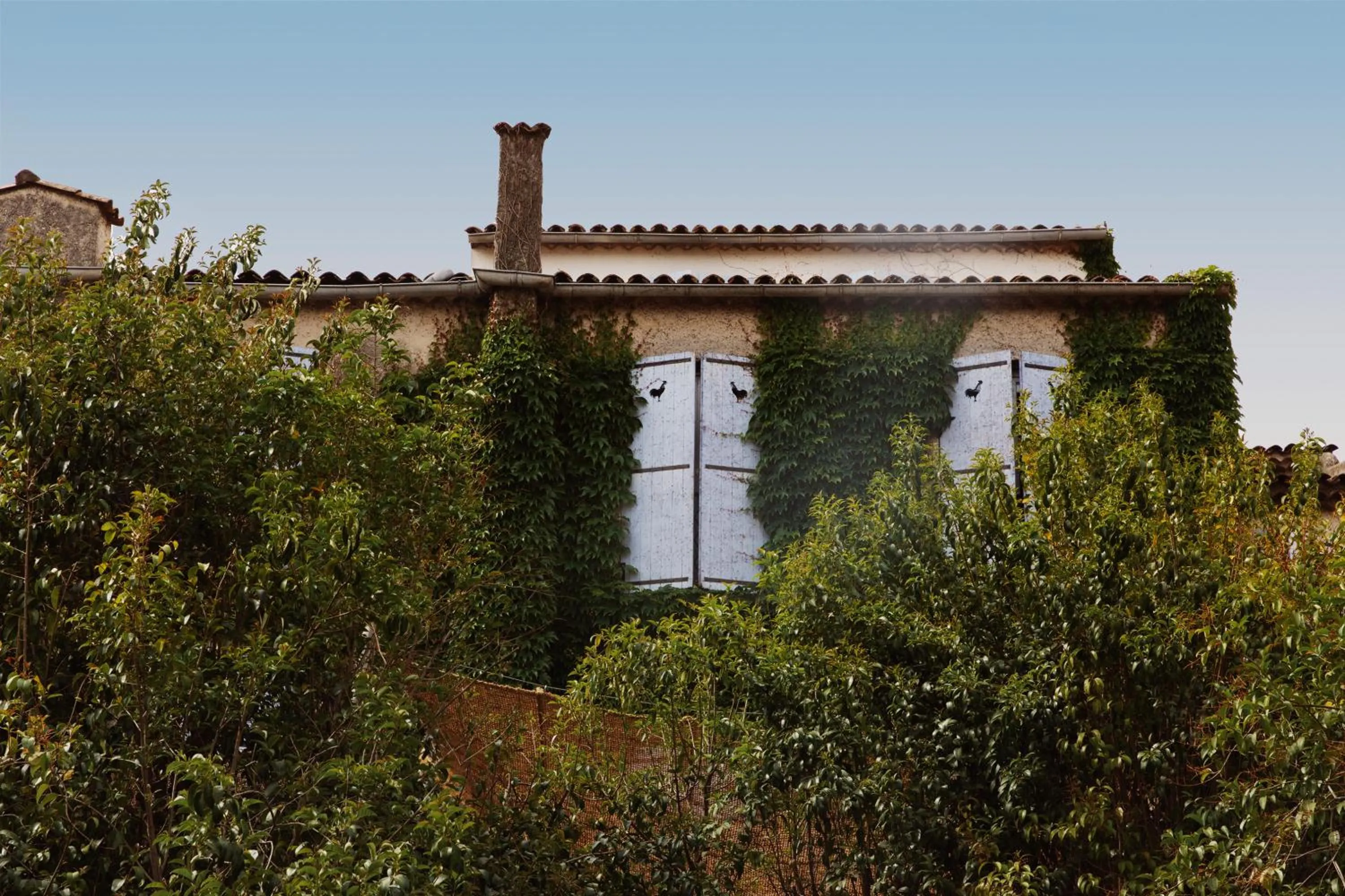 Property building in Coq Hotel