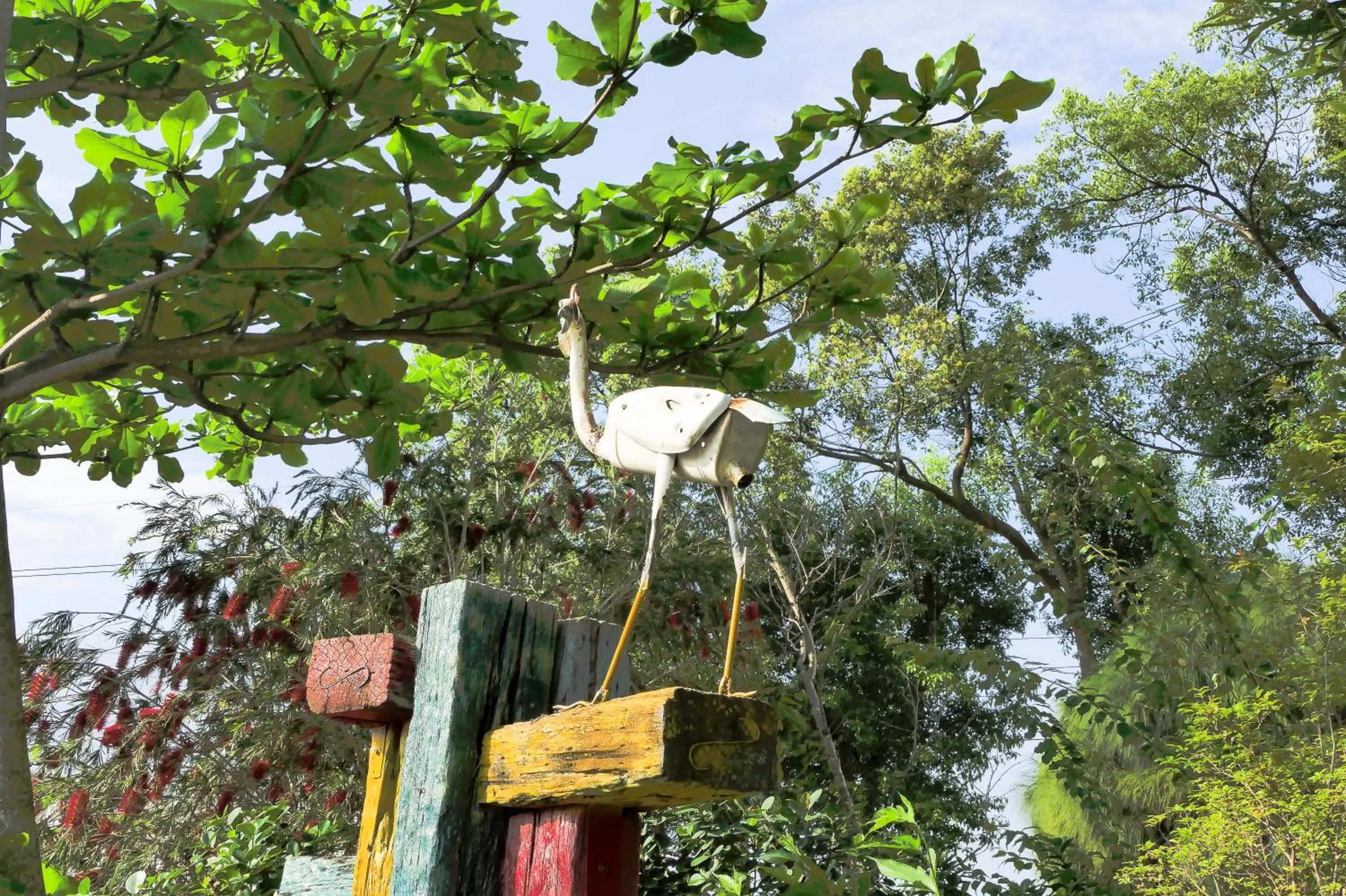 Garden in Ying Tian Ye Homestay