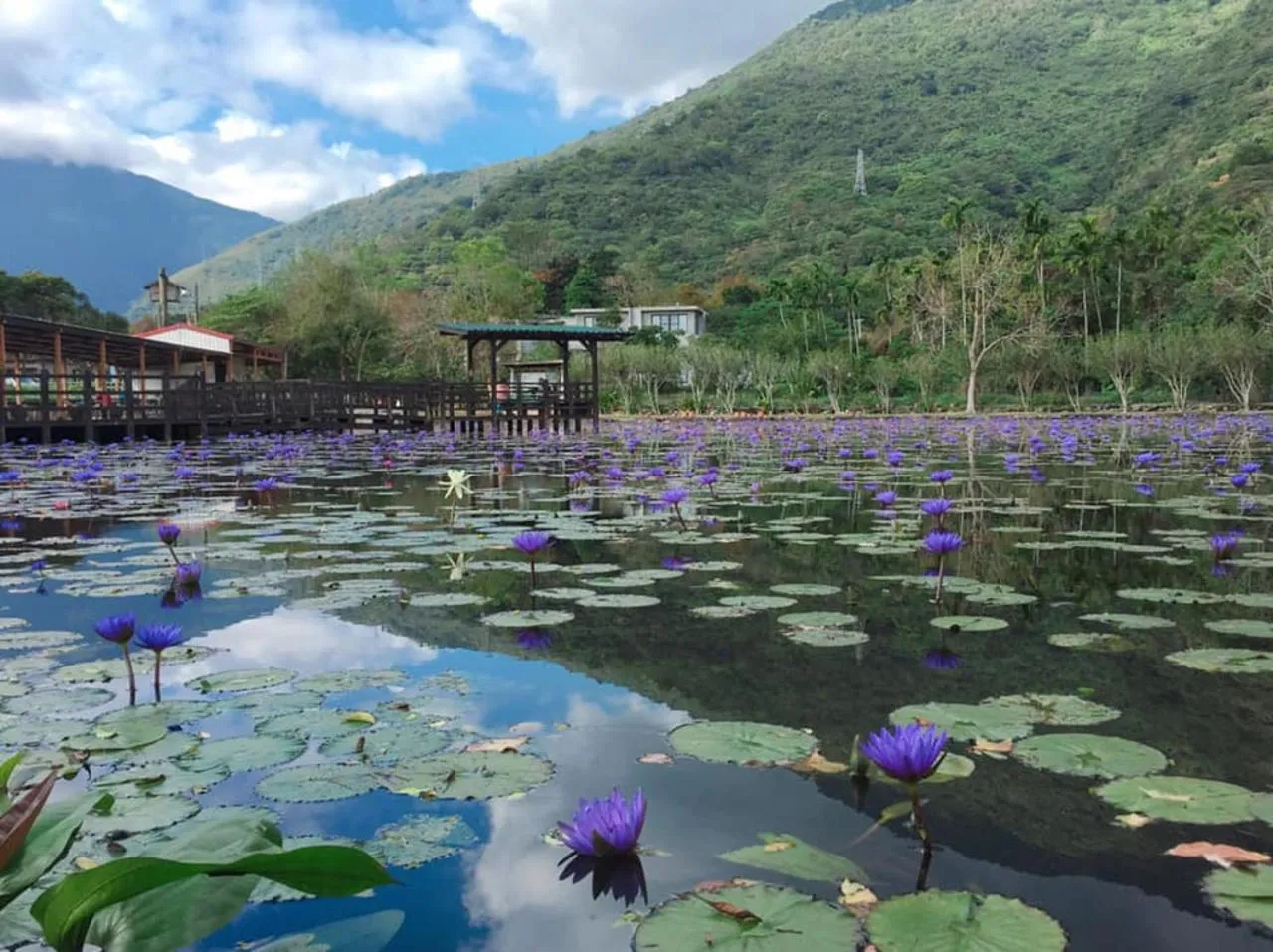 Nearby landmark in Ying Tian Ye Homestay
