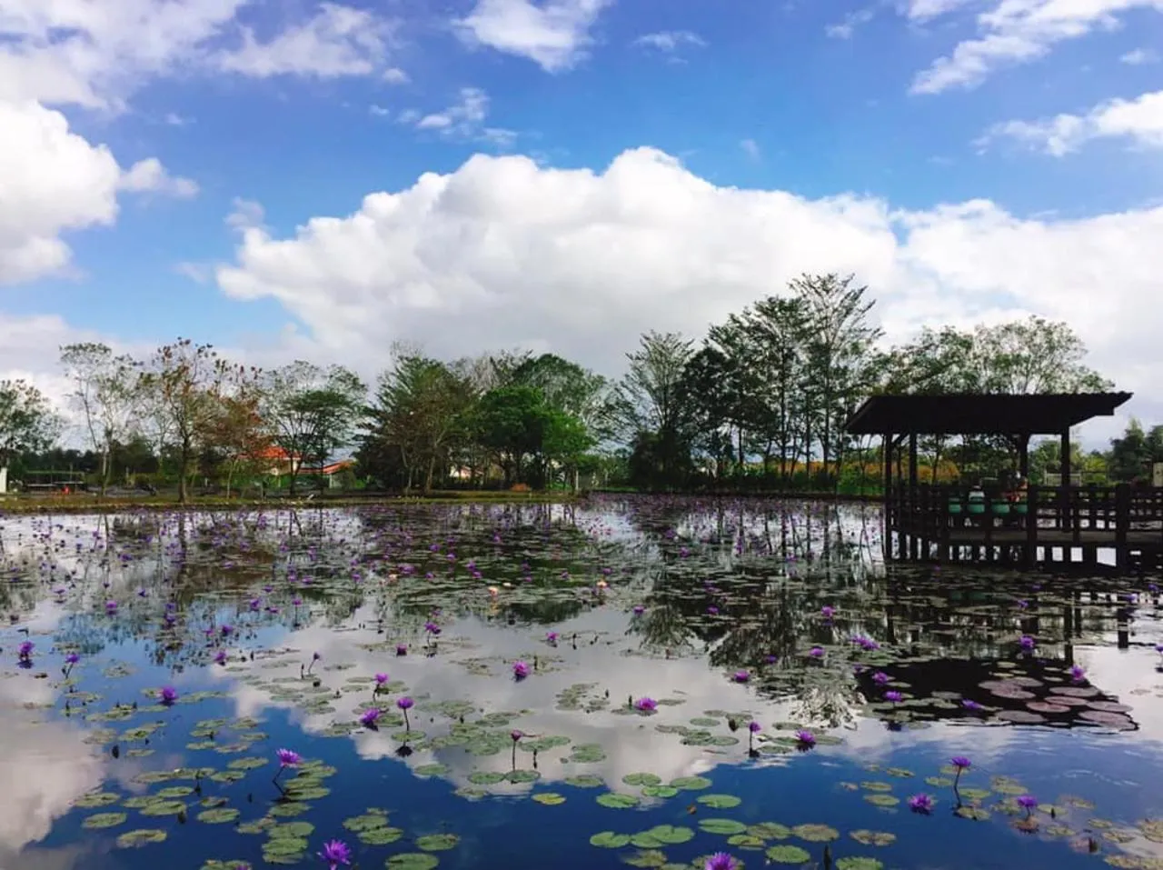 Nearby landmark in Ying Tian Ye Homestay