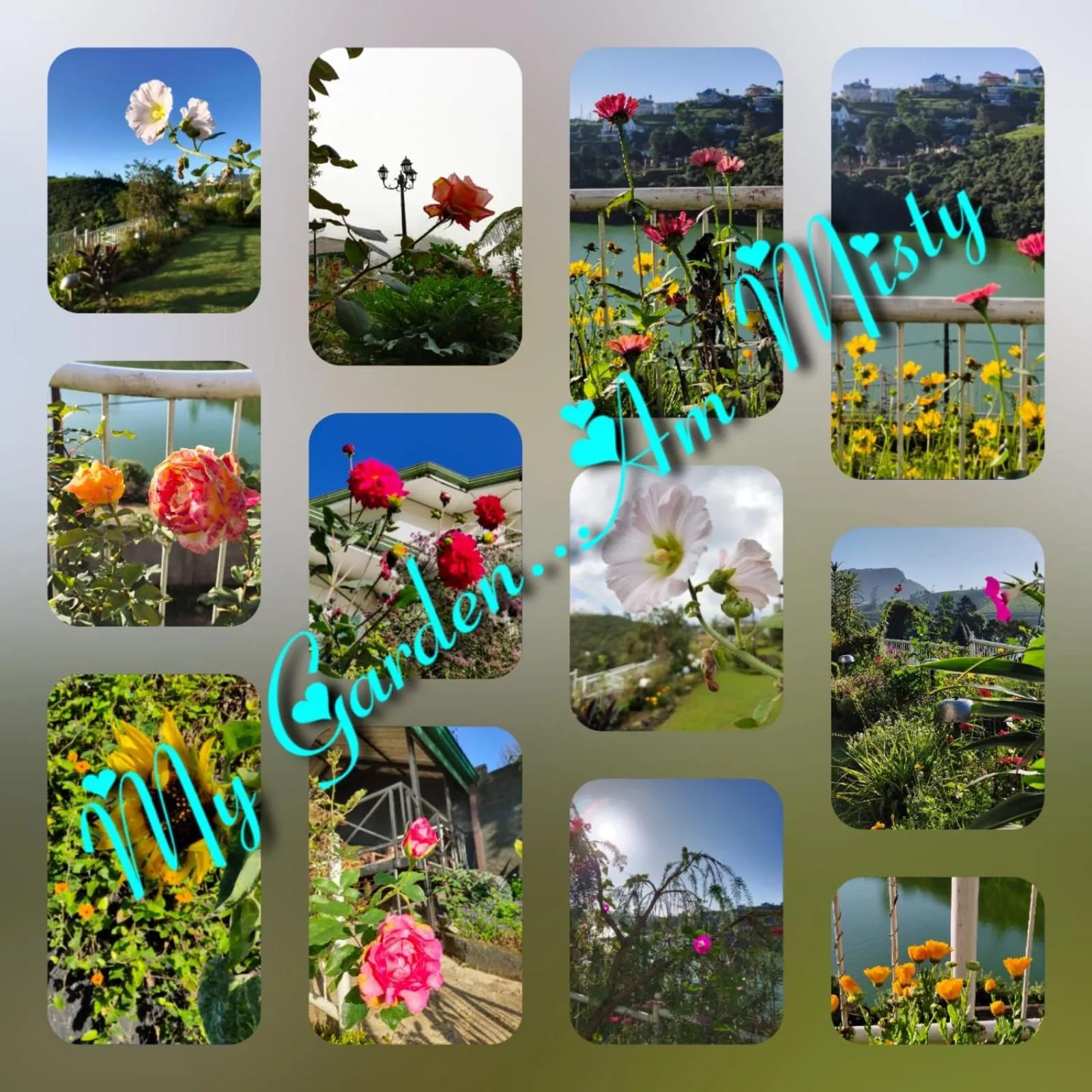 Garden in Misty Paradise of Lake Gregory