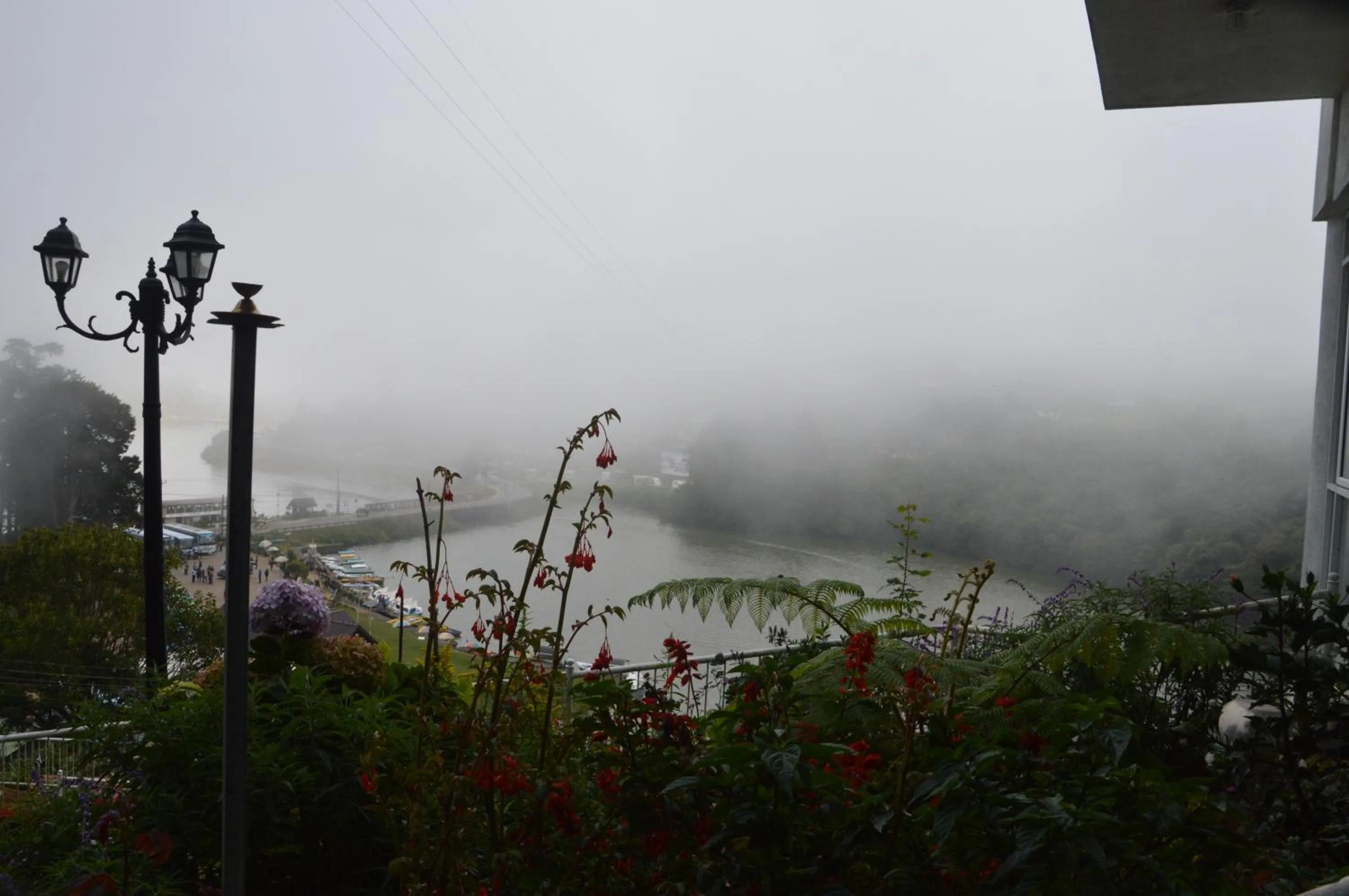 Garden view in Misty Paradise of Lake Gregory