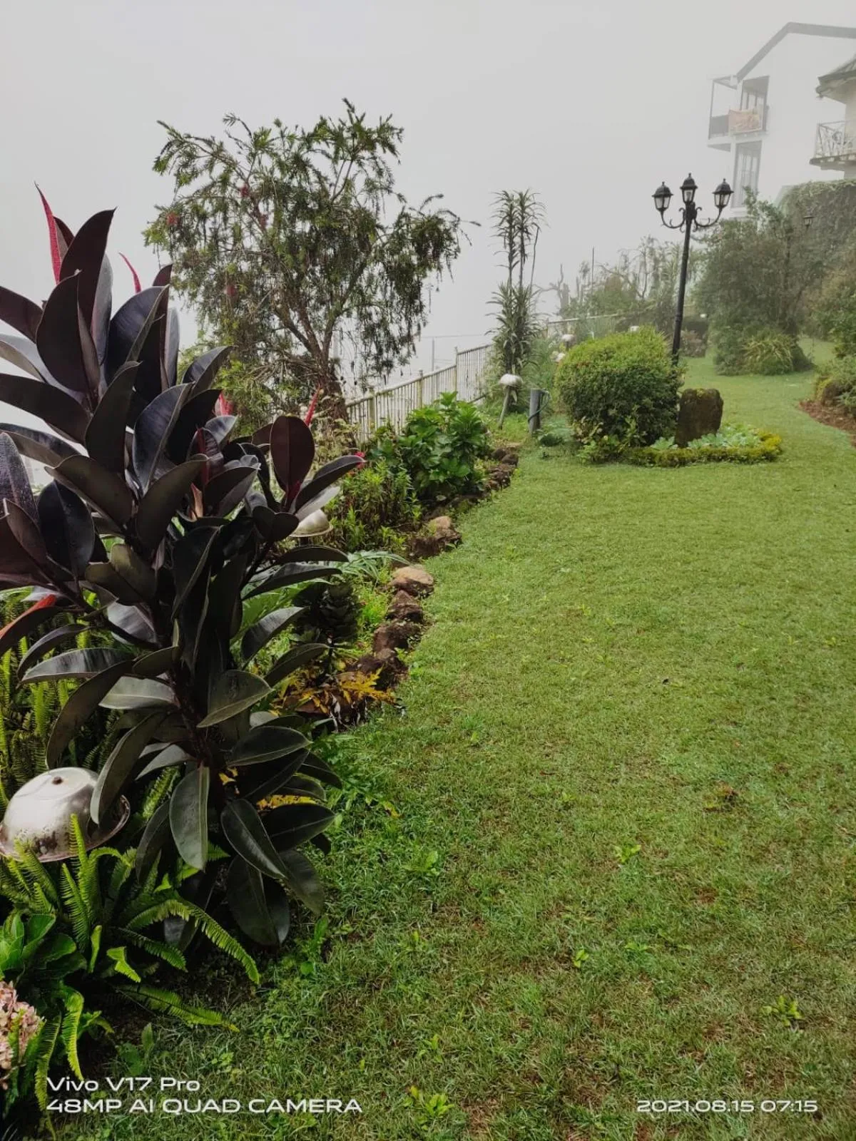 Misty Paradise of Lake Gregory