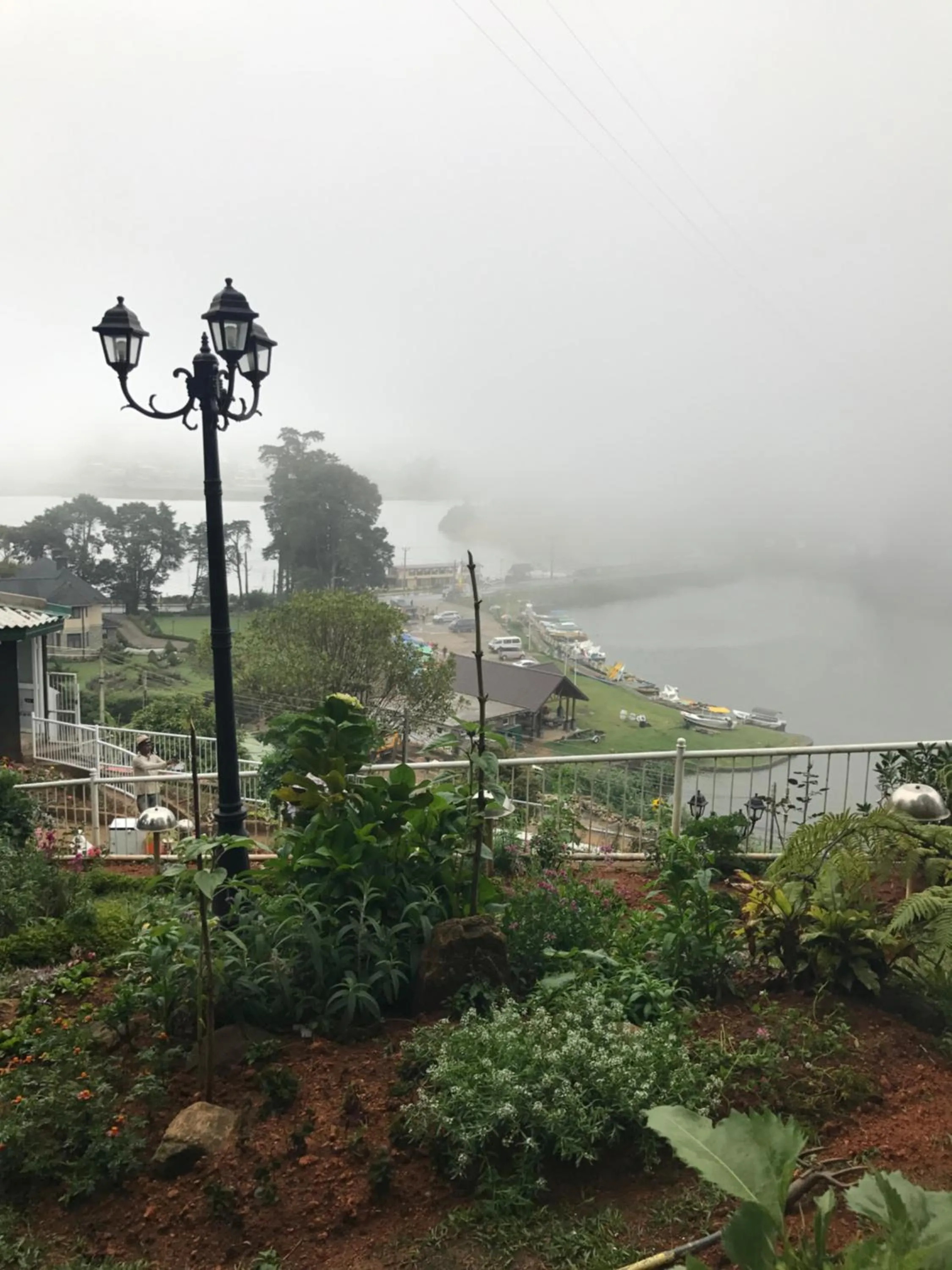 Garden in Misty Paradise of Lake Gregory