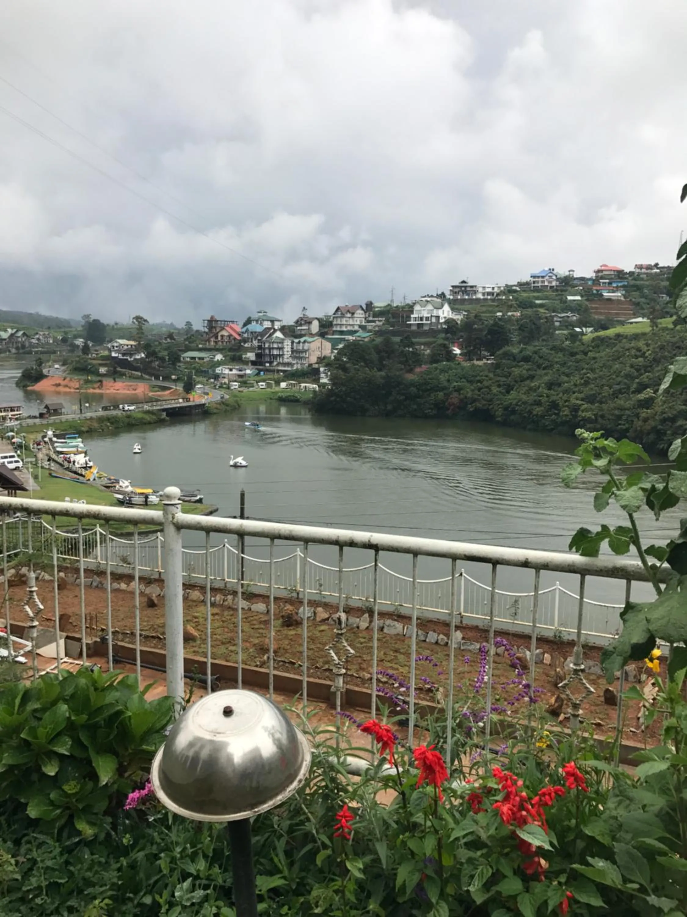 Garden in Misty Paradise of Lake Gregory