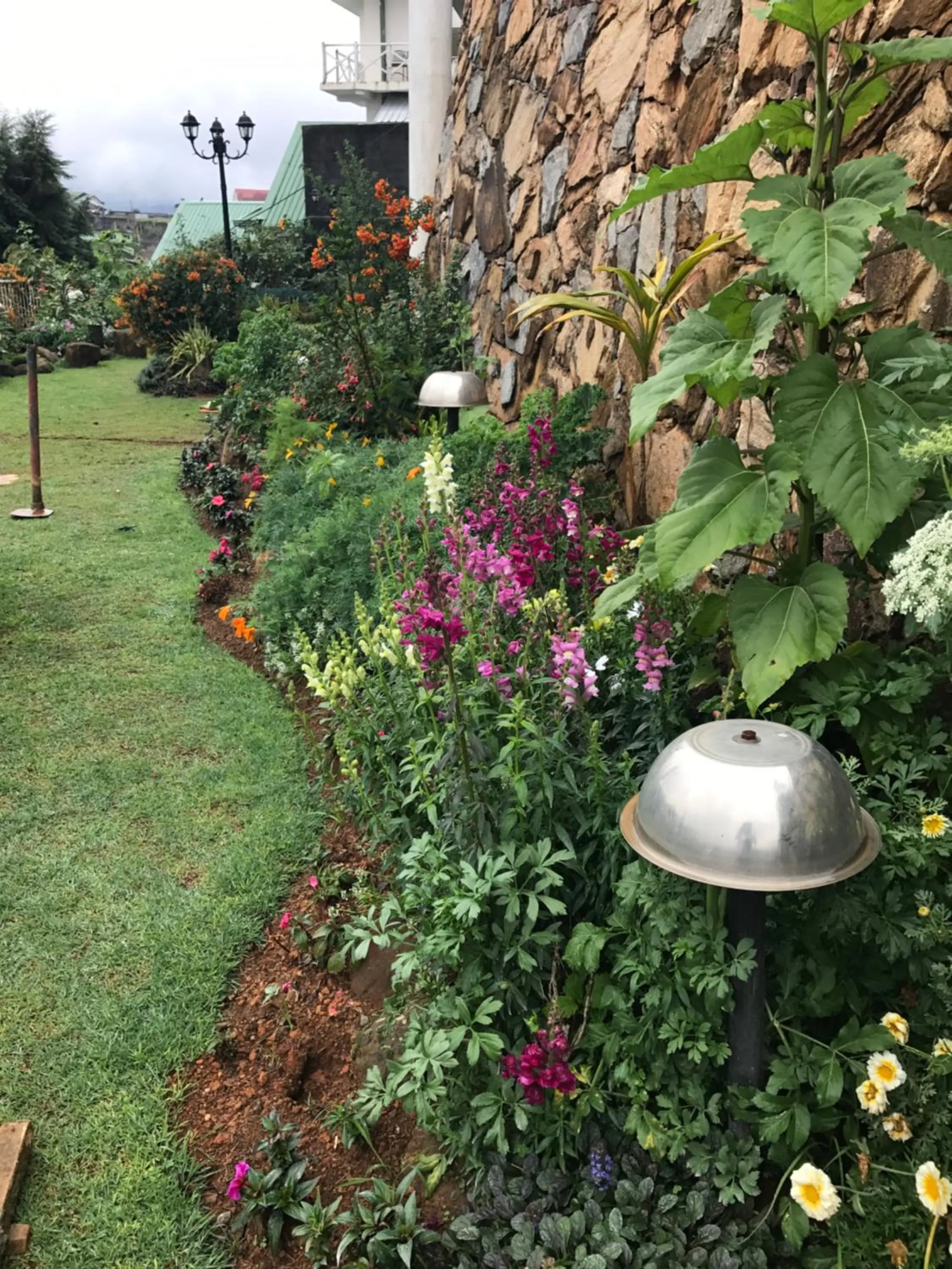 Garden in Misty Paradise of Lake Gregory